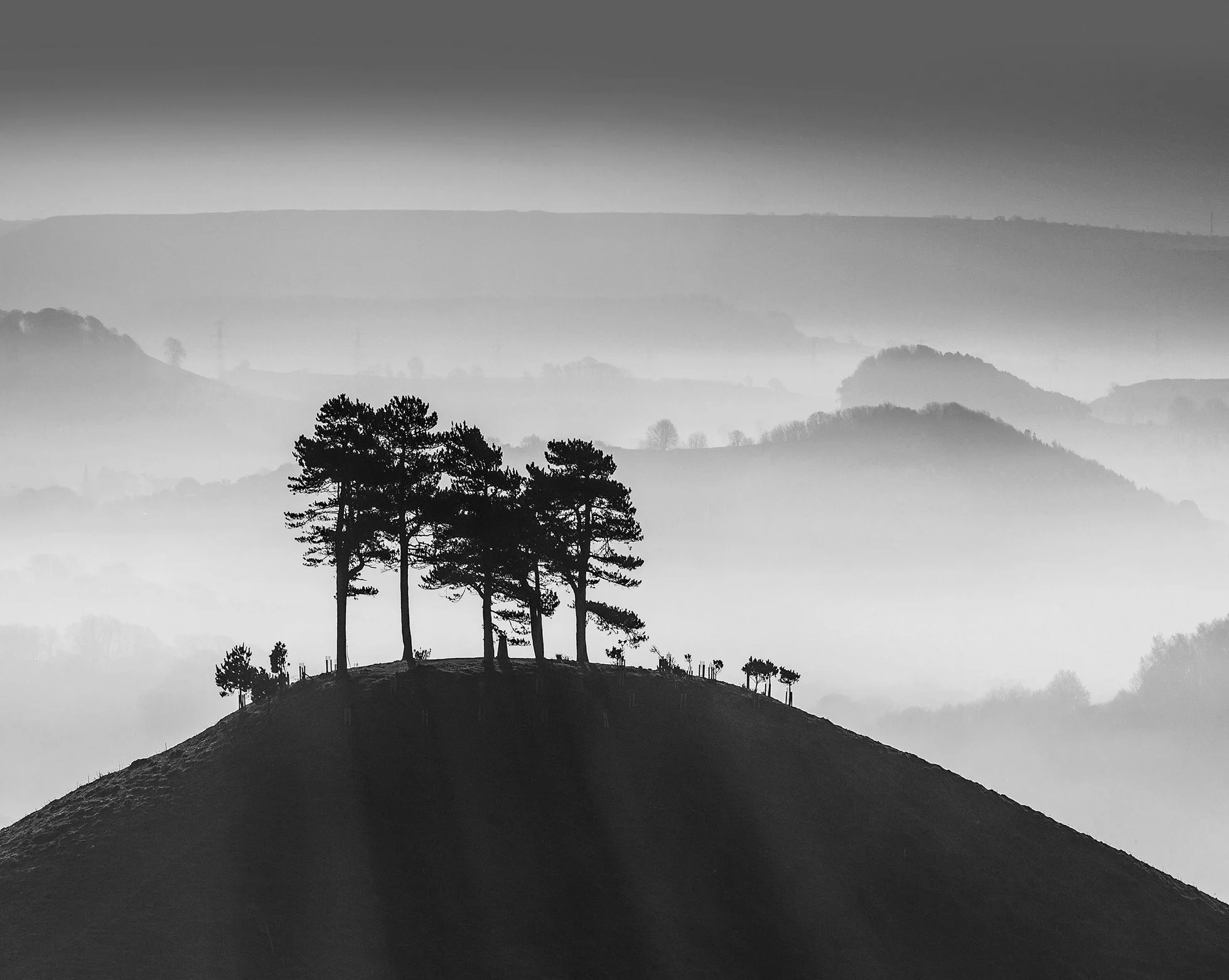 Photo by Alan Coles - "Love the layers in this. Alan has still managed to retain detail in the hill beside the group of trees" - Dave Peck