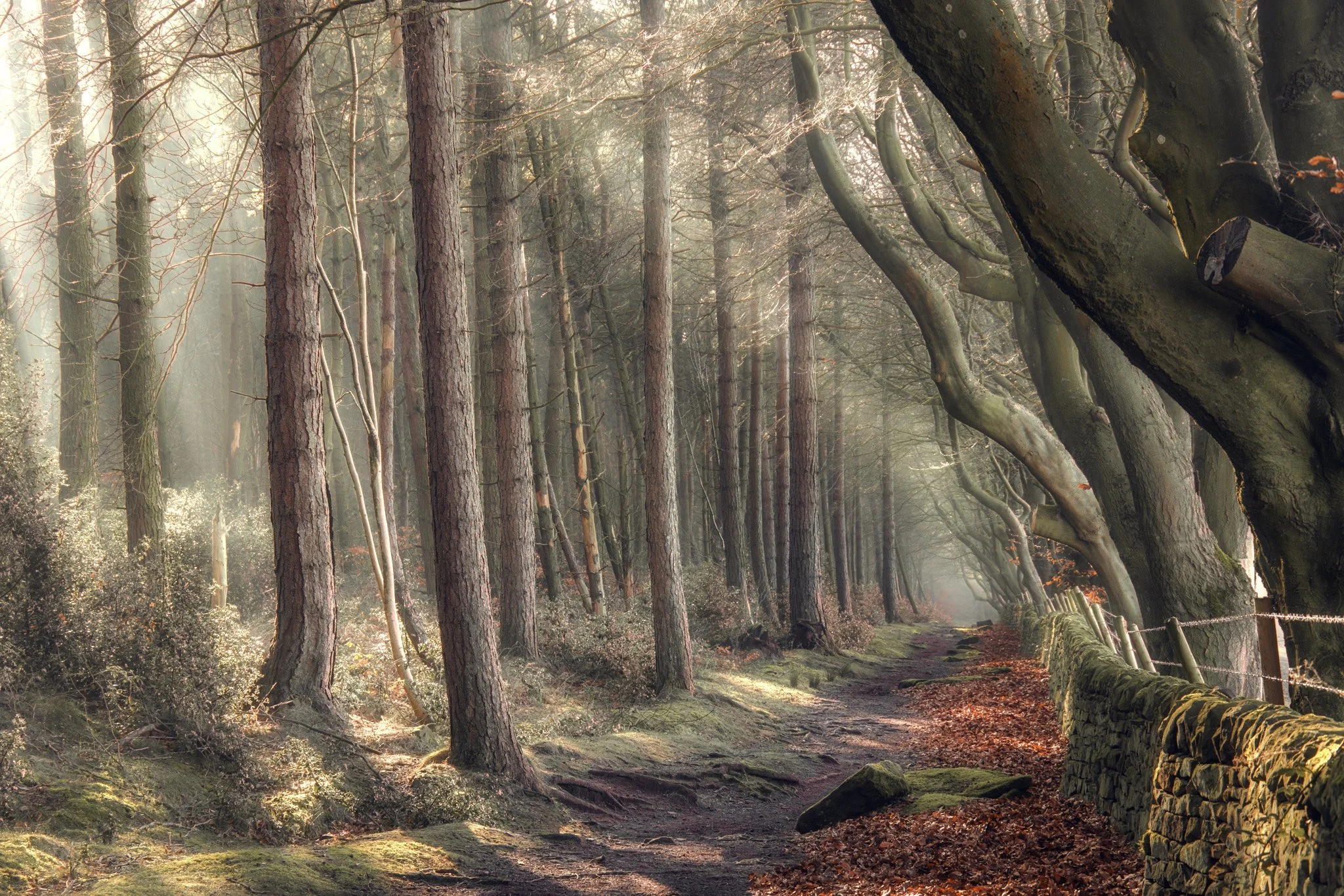 Week 23 - 'Upper Moor' - Paul Oldbury