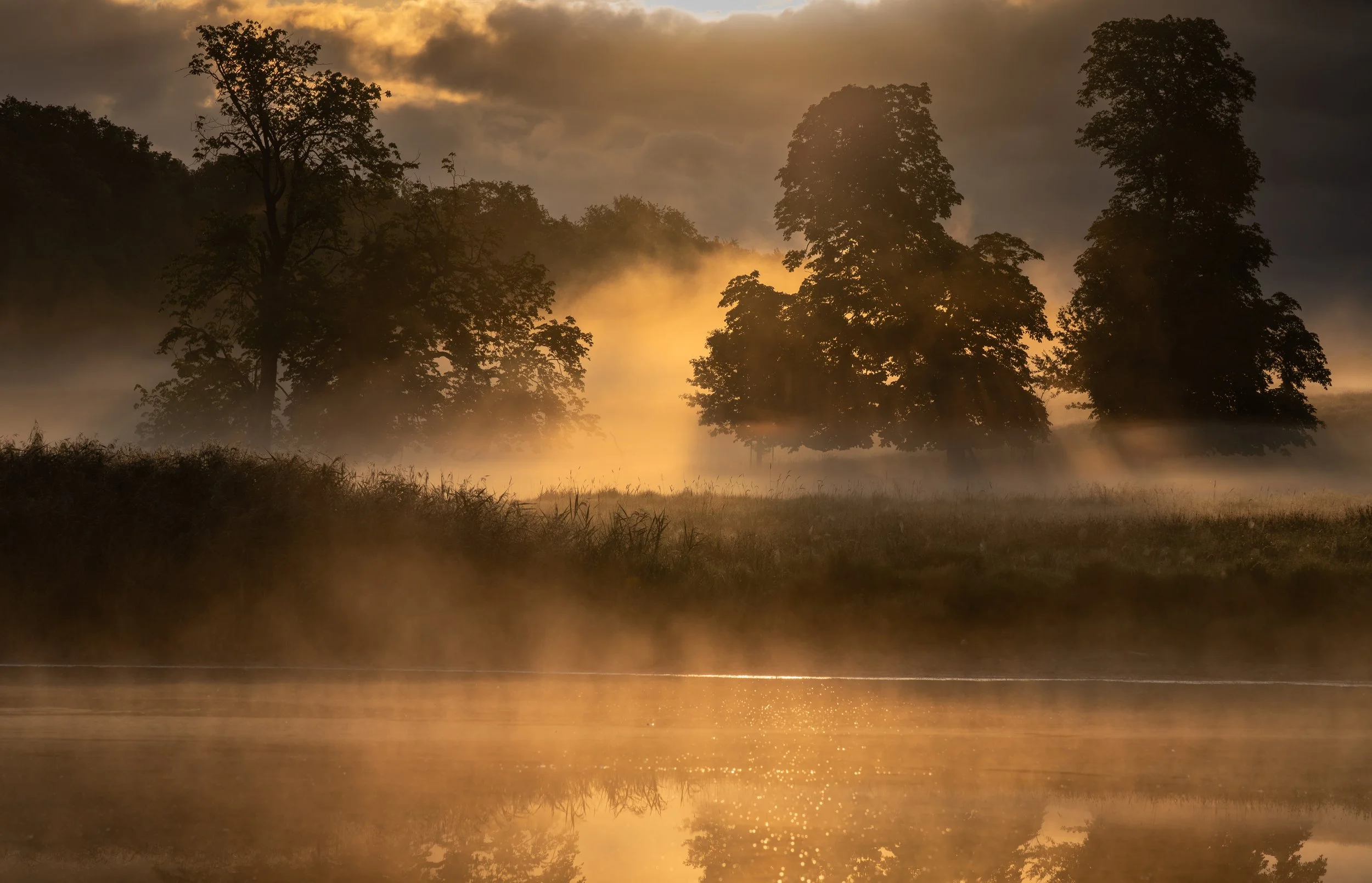 Week 45 - 'Late Summer Light' - Hamish Cook
