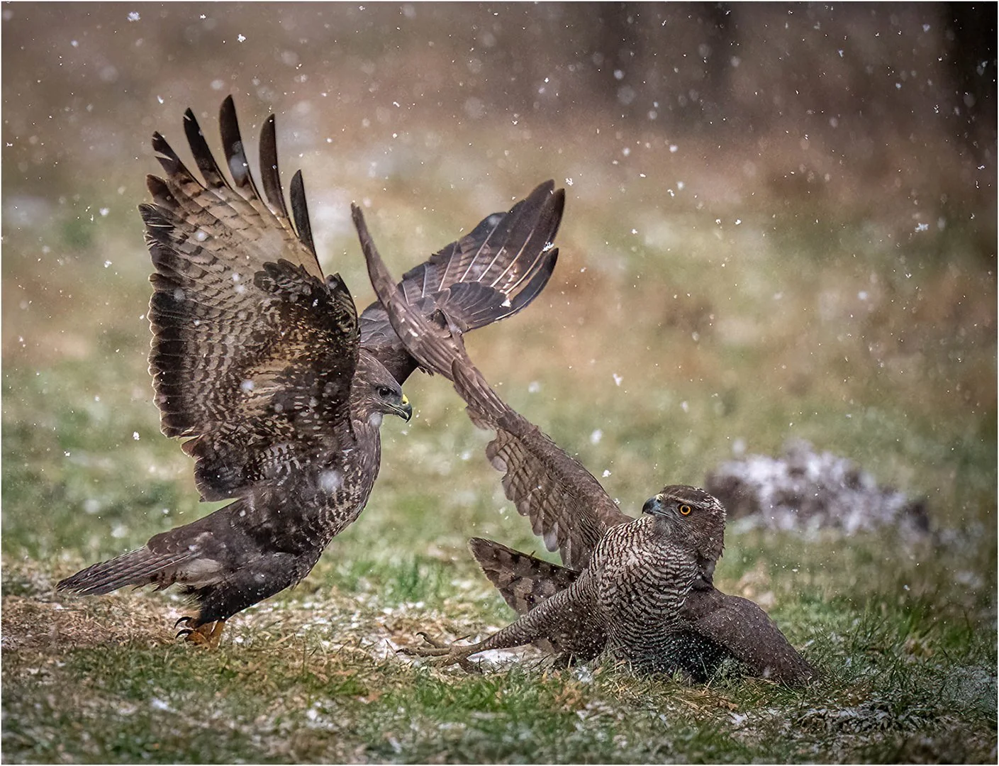 3rd Place - As selected by DxO - Chris Moncrieff