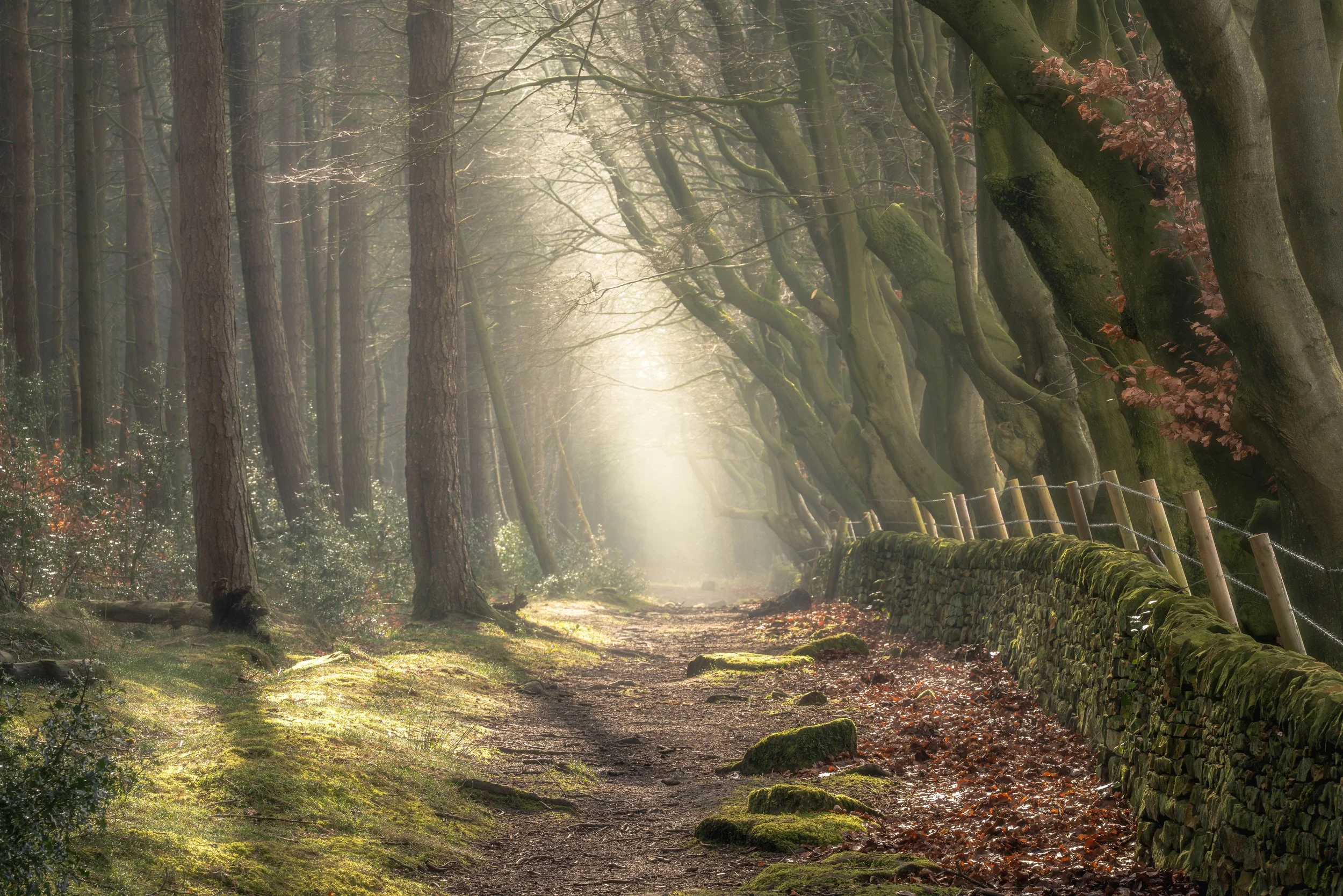 Peak District: 1-1 workshops - With Steve Stain