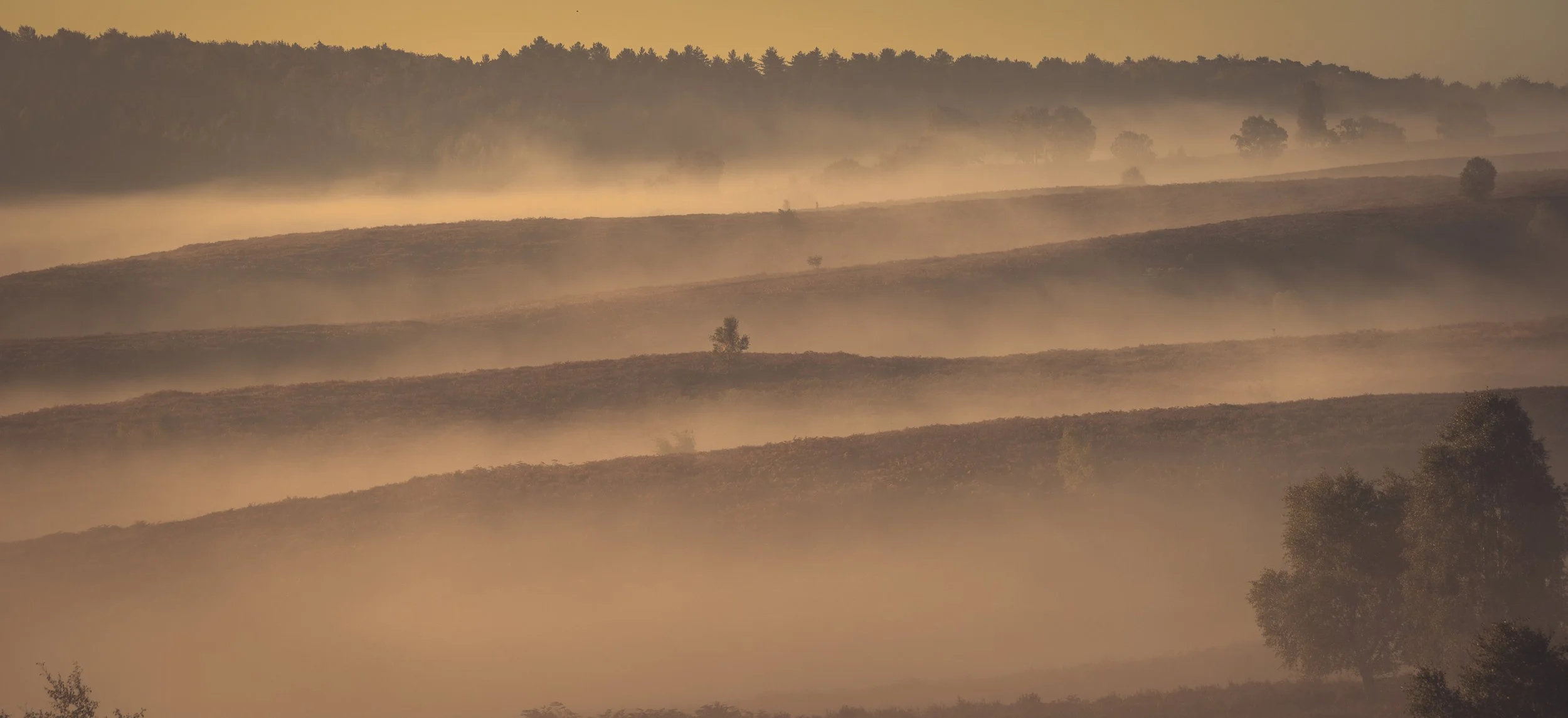 Week 1 -  'Chasing the Mist' - Ian Allman