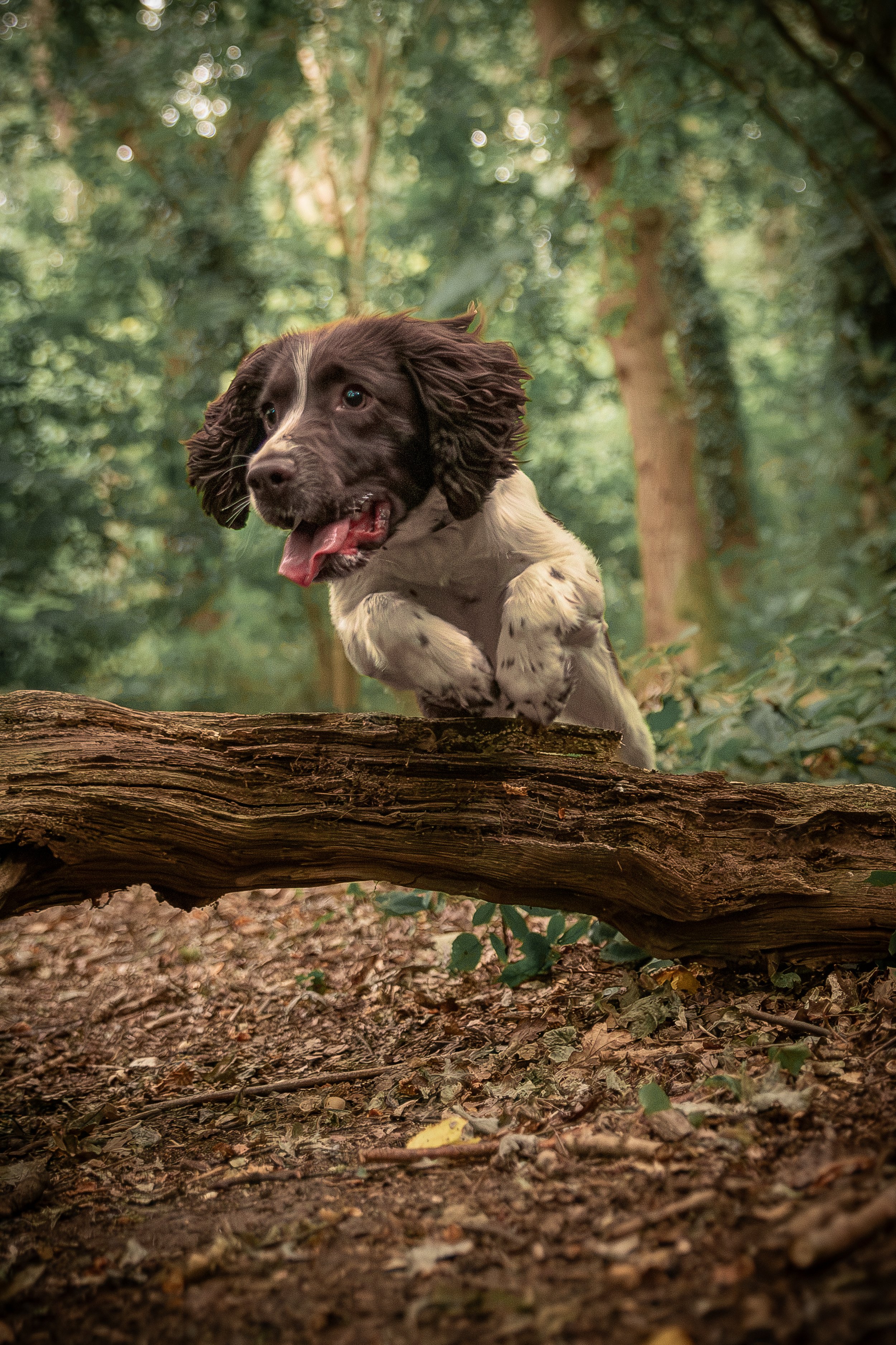 Week 44 - 'Skyla' - Carl Hodson