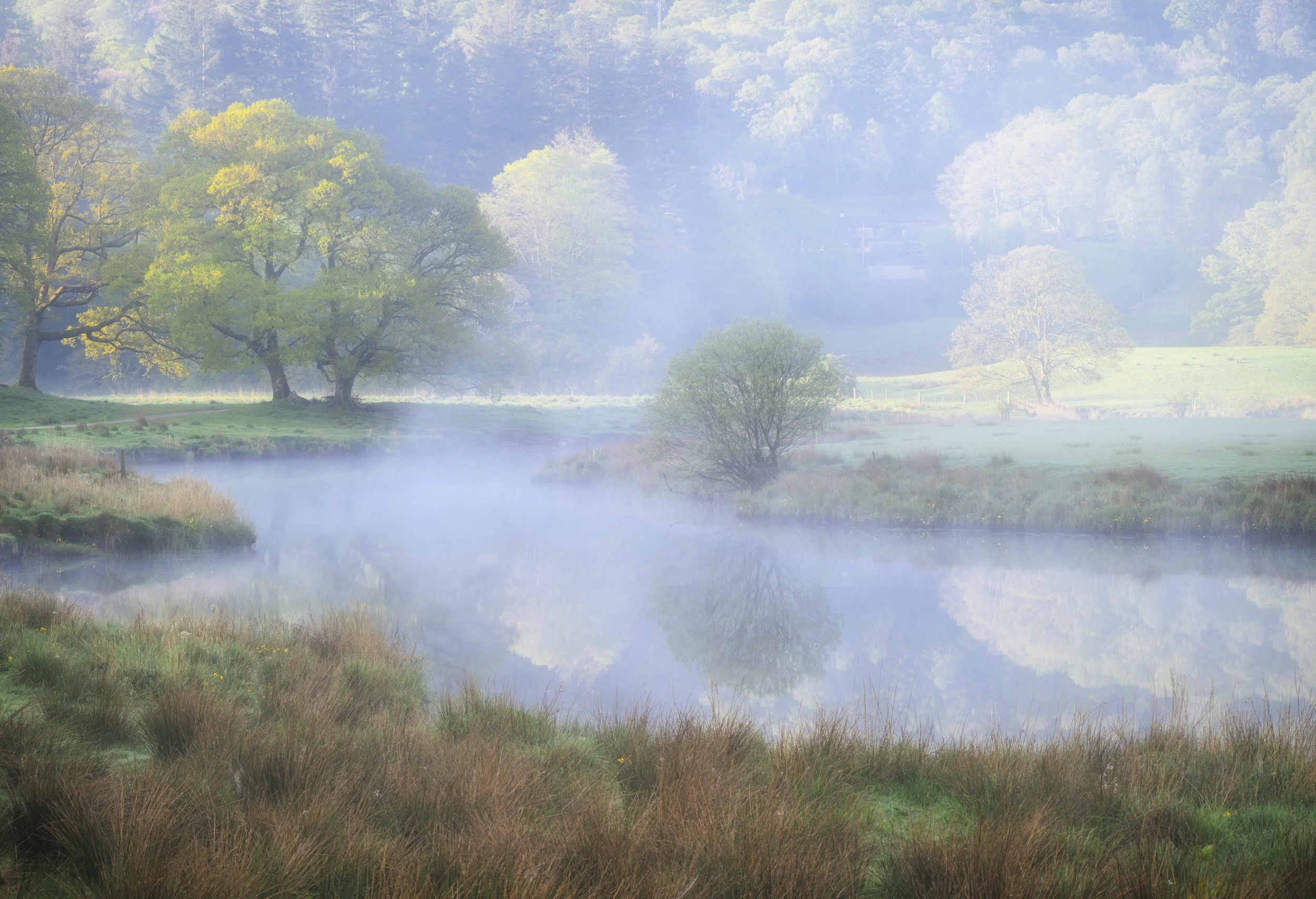 Dave_River Brathay, Spring_2mGxV693.jpg