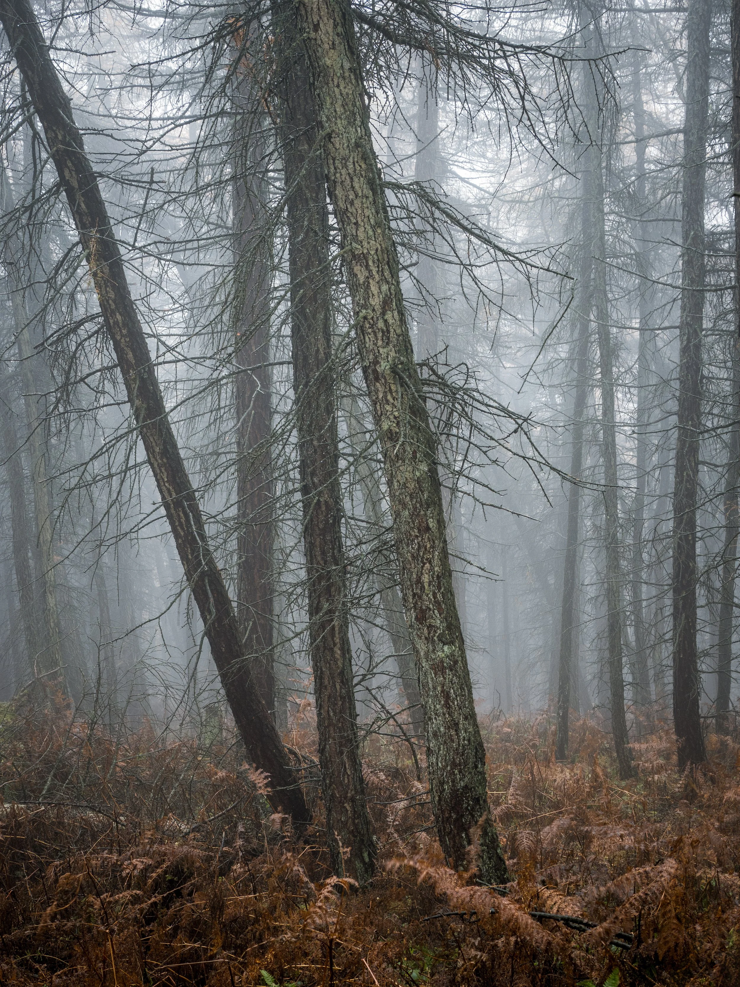 Week 8 - 'Fallen' - Paul Hill, Fallen