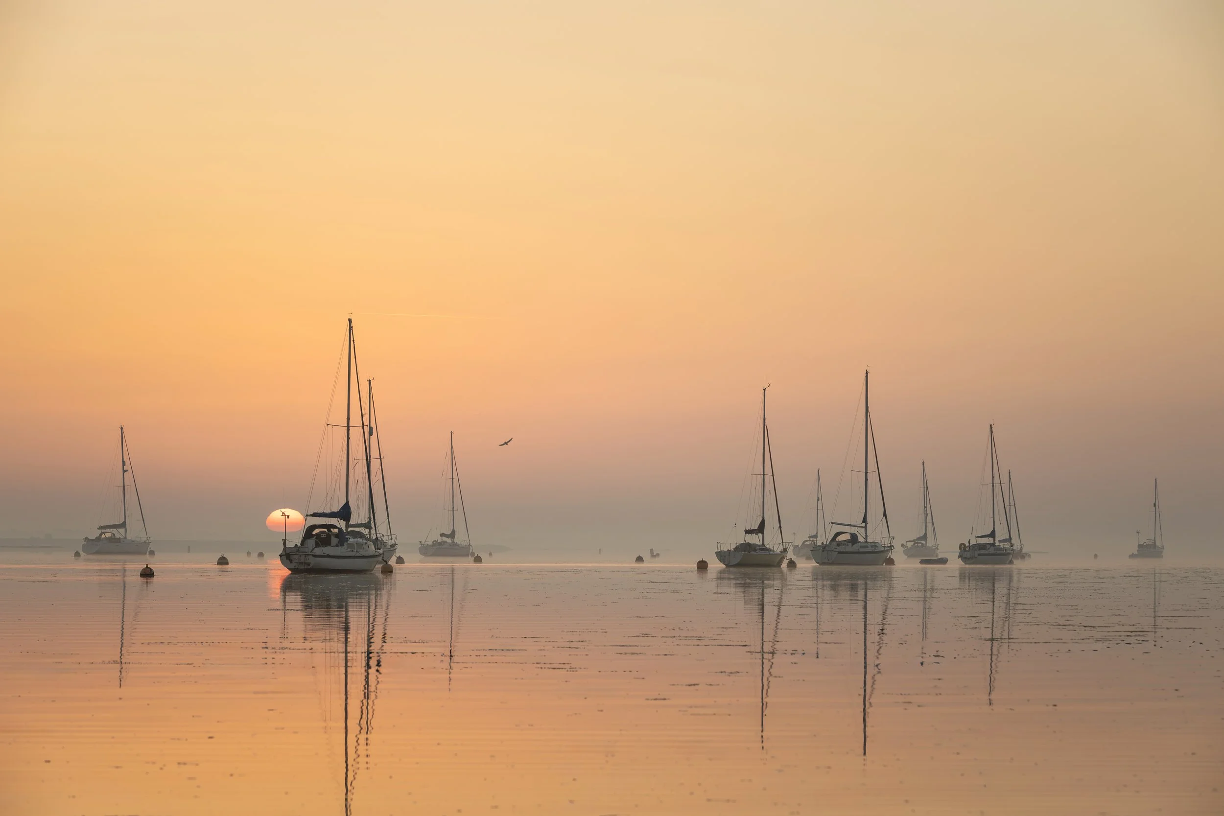 Week 35 - 'Blackwater at Dawn' - David Purkiss