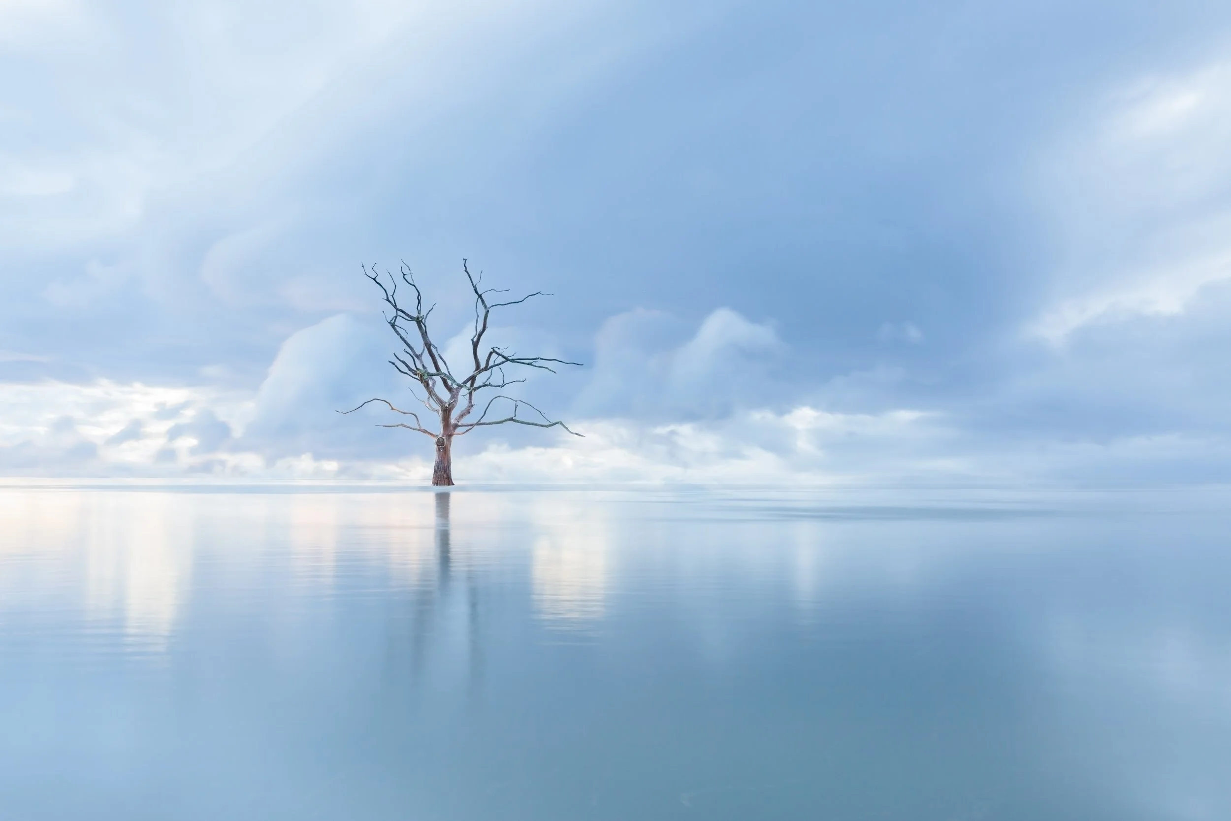 2nd Place - As Selected by DxO - Sam Eggar