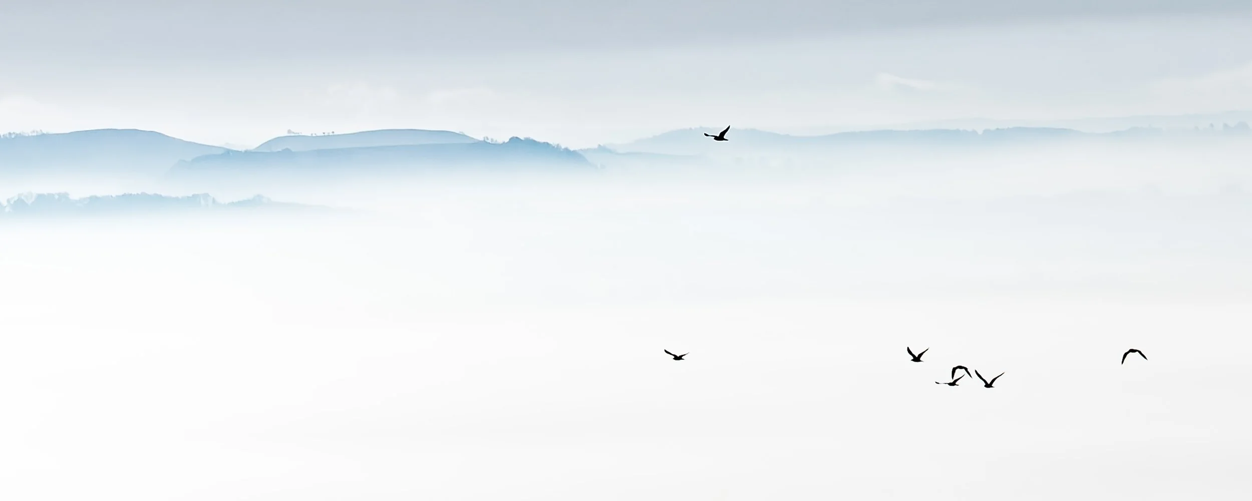  Week 16 - 'Flying High' - Sam Eggar