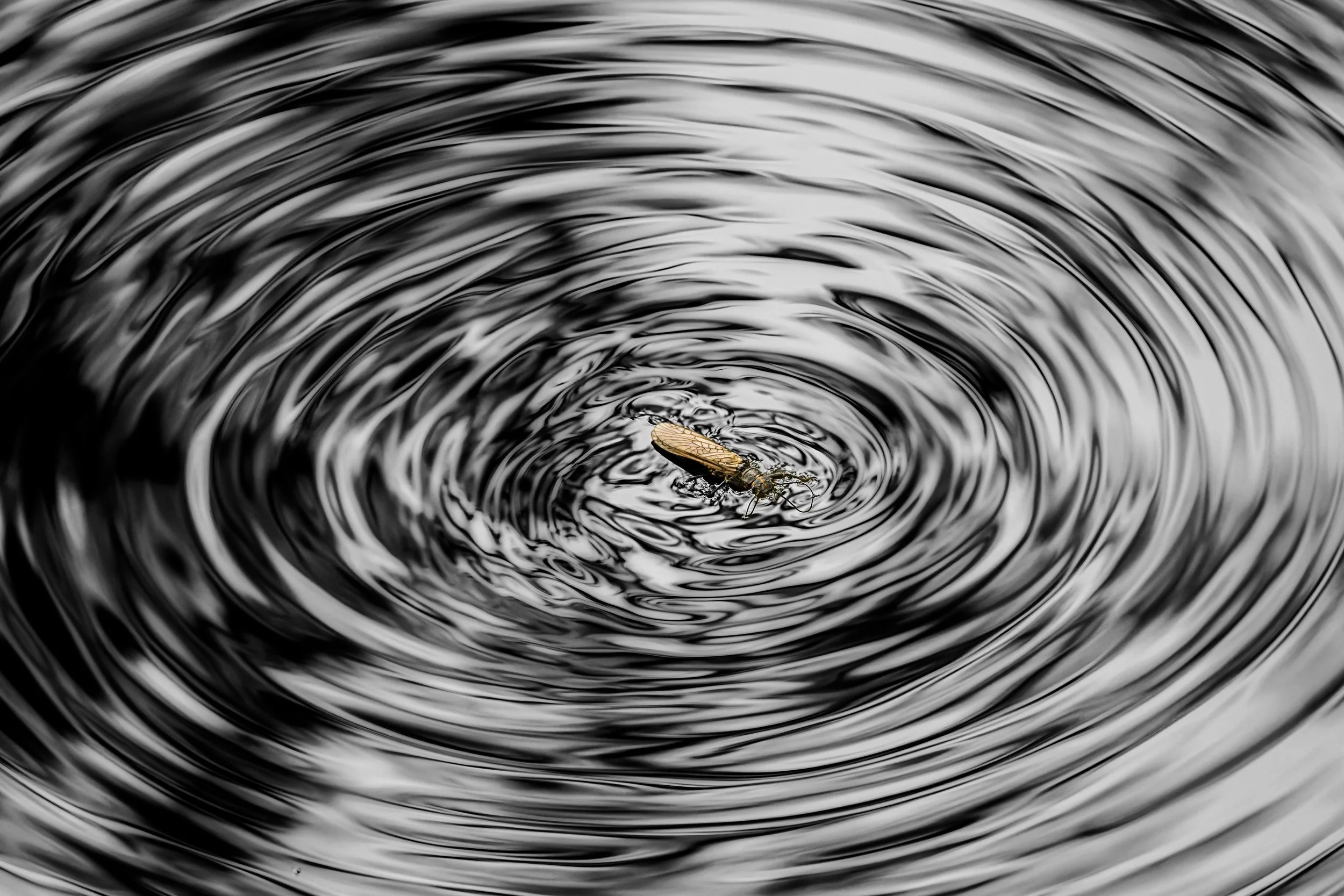 Week 34 - 'A Moment in the Centre' - Brian Nicholson