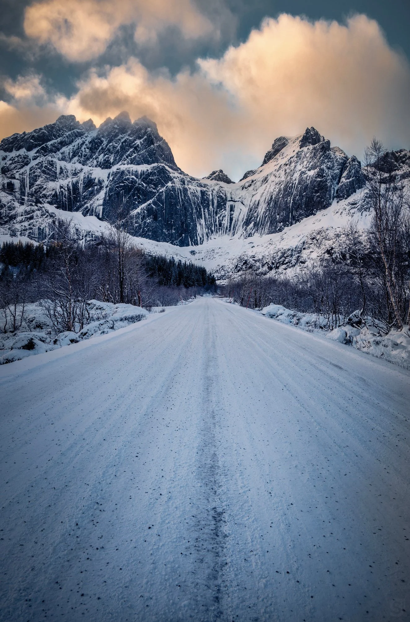 54427987761_2b4807834f_k (1).jpg