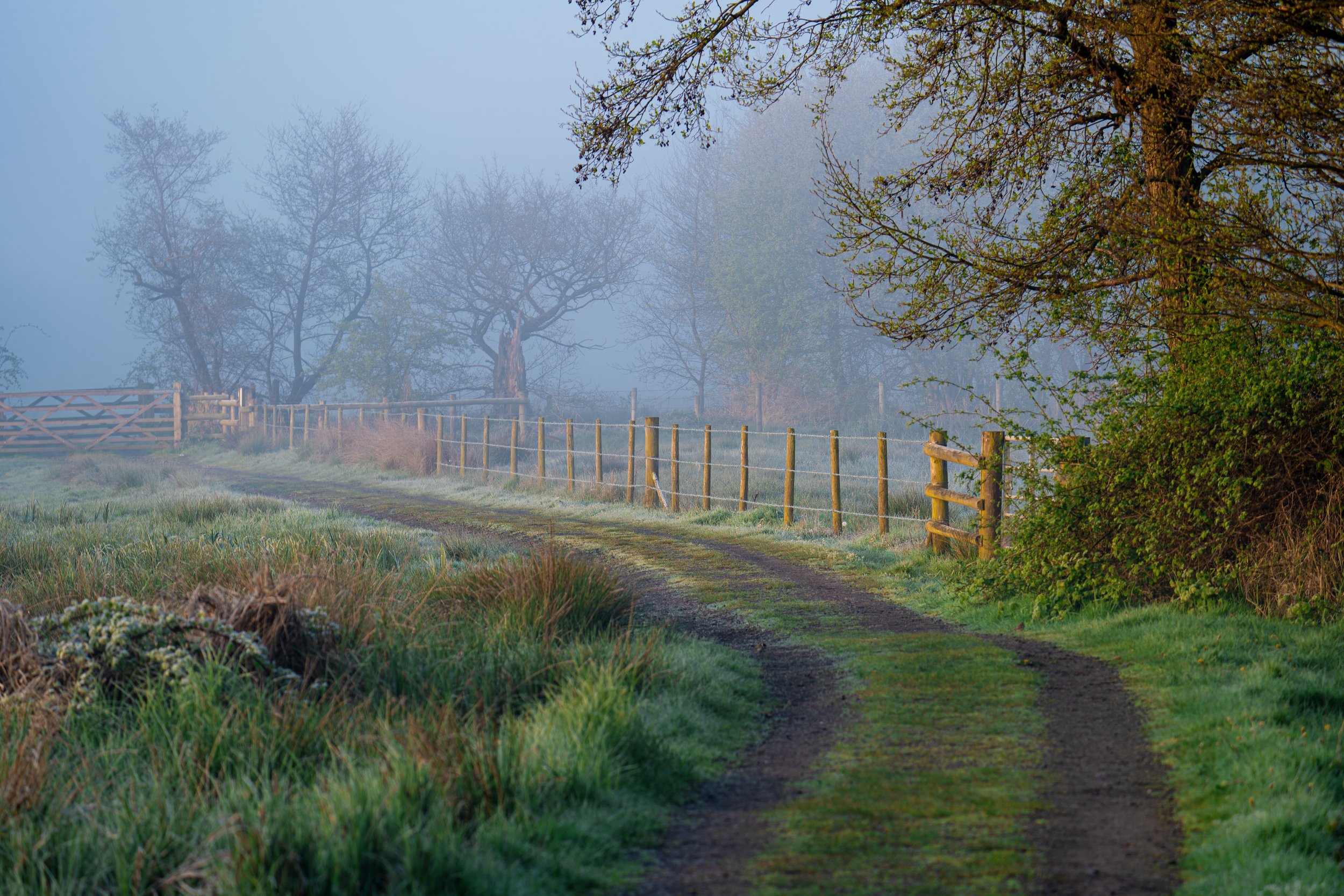 Week 30 - 'The Misty Track' - Ross Lockwood