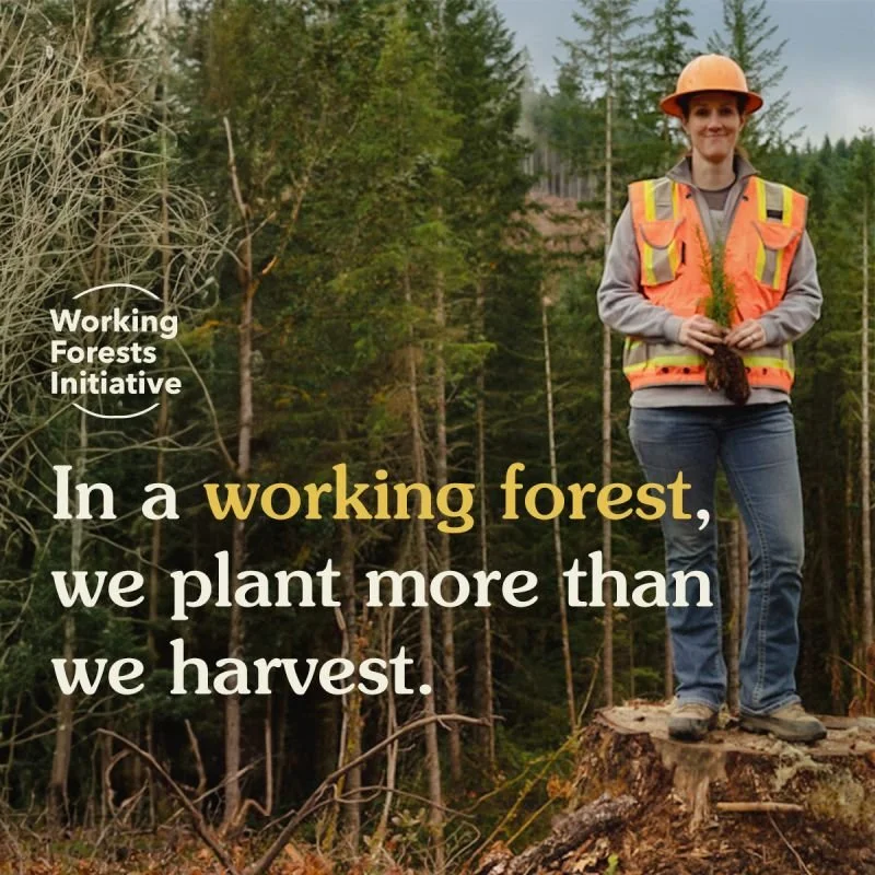 Working Forests Initative