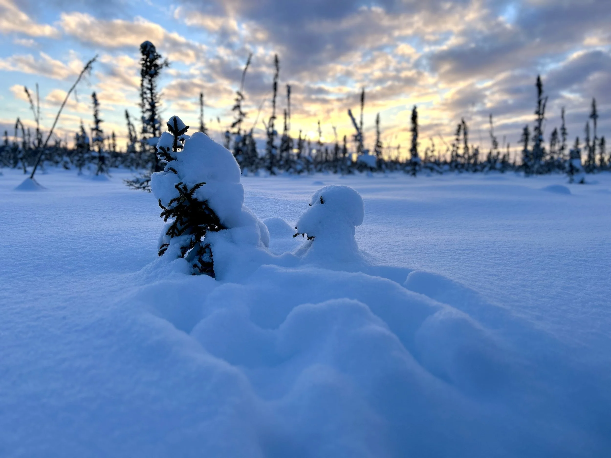 Trauma Manifesting in Daily Life: How to Break the Cycle!&nbsp;&nbsp;