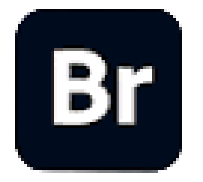 Asset 11logo.png