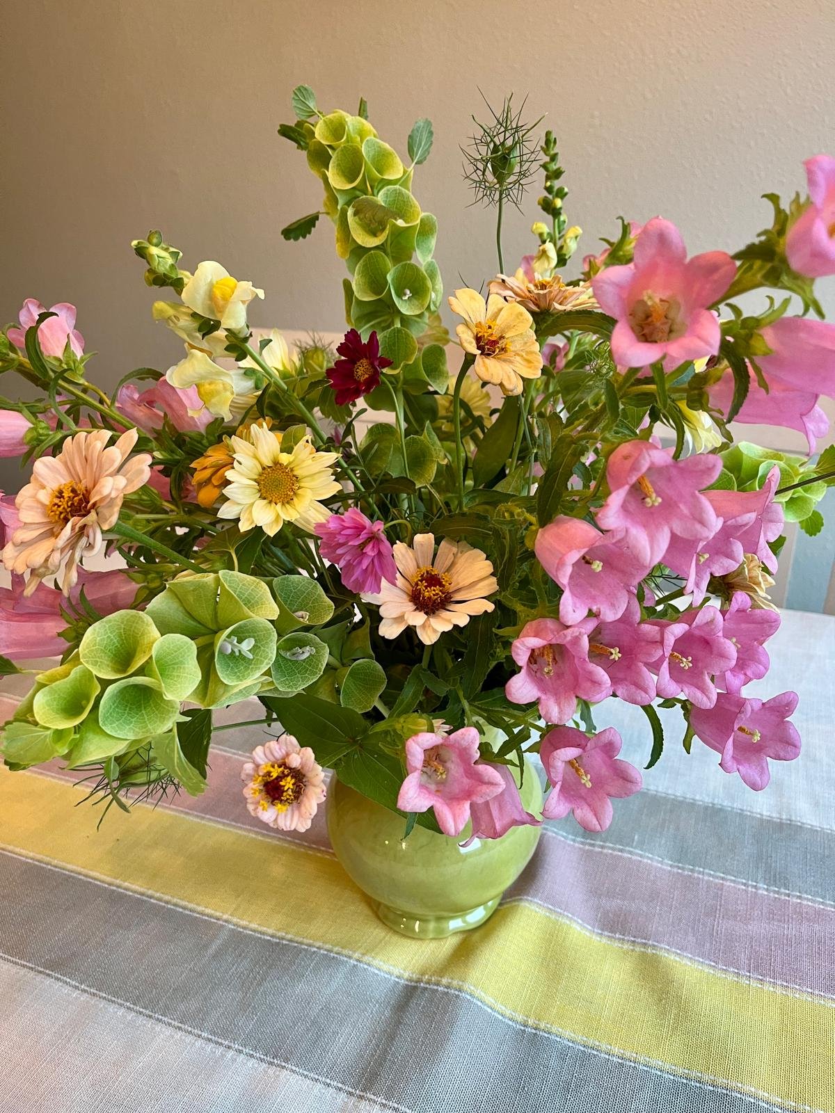 WhatsApp Image 2026-01-06 at 2.06.17 PM.jpeg