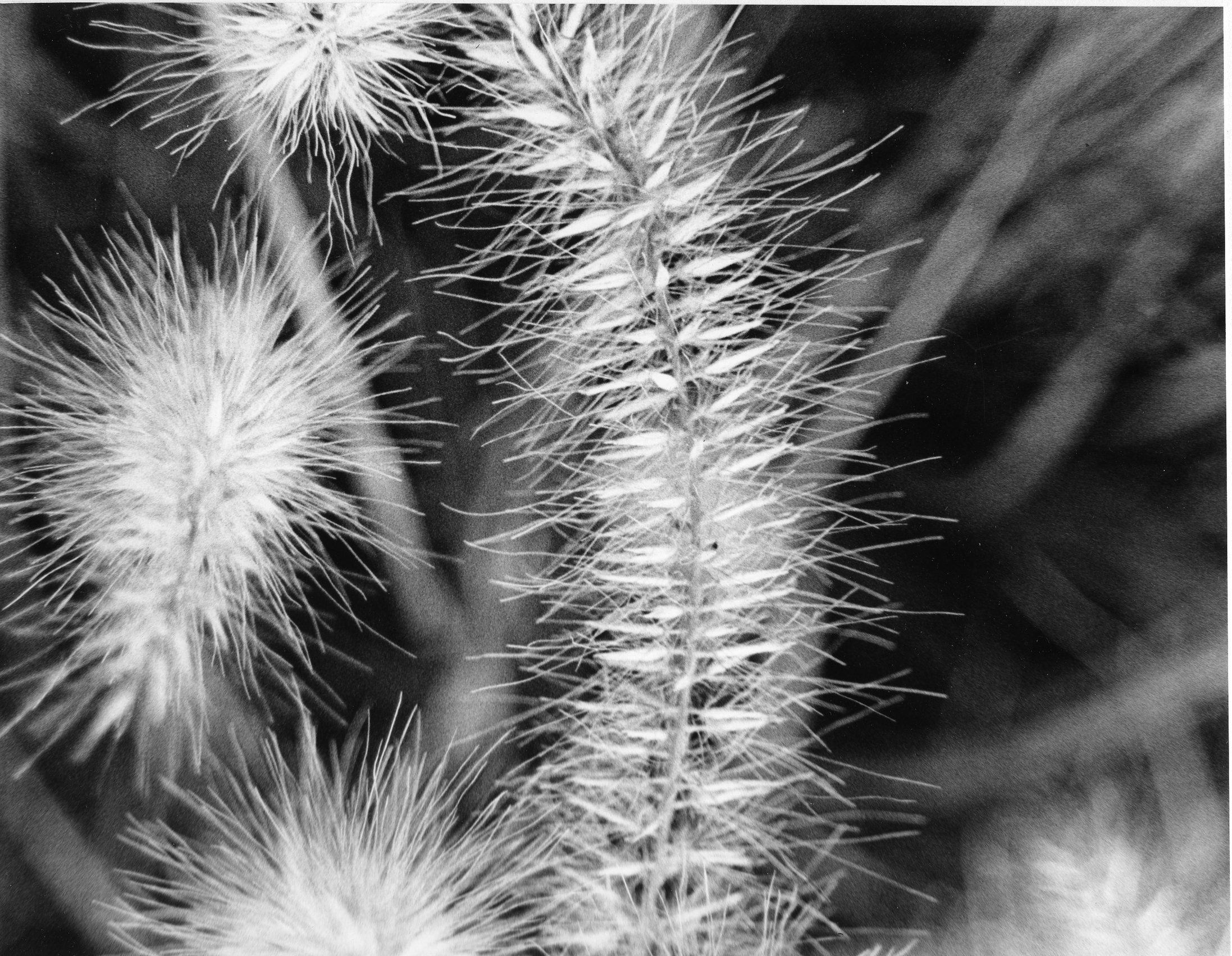 Exploration in Texture