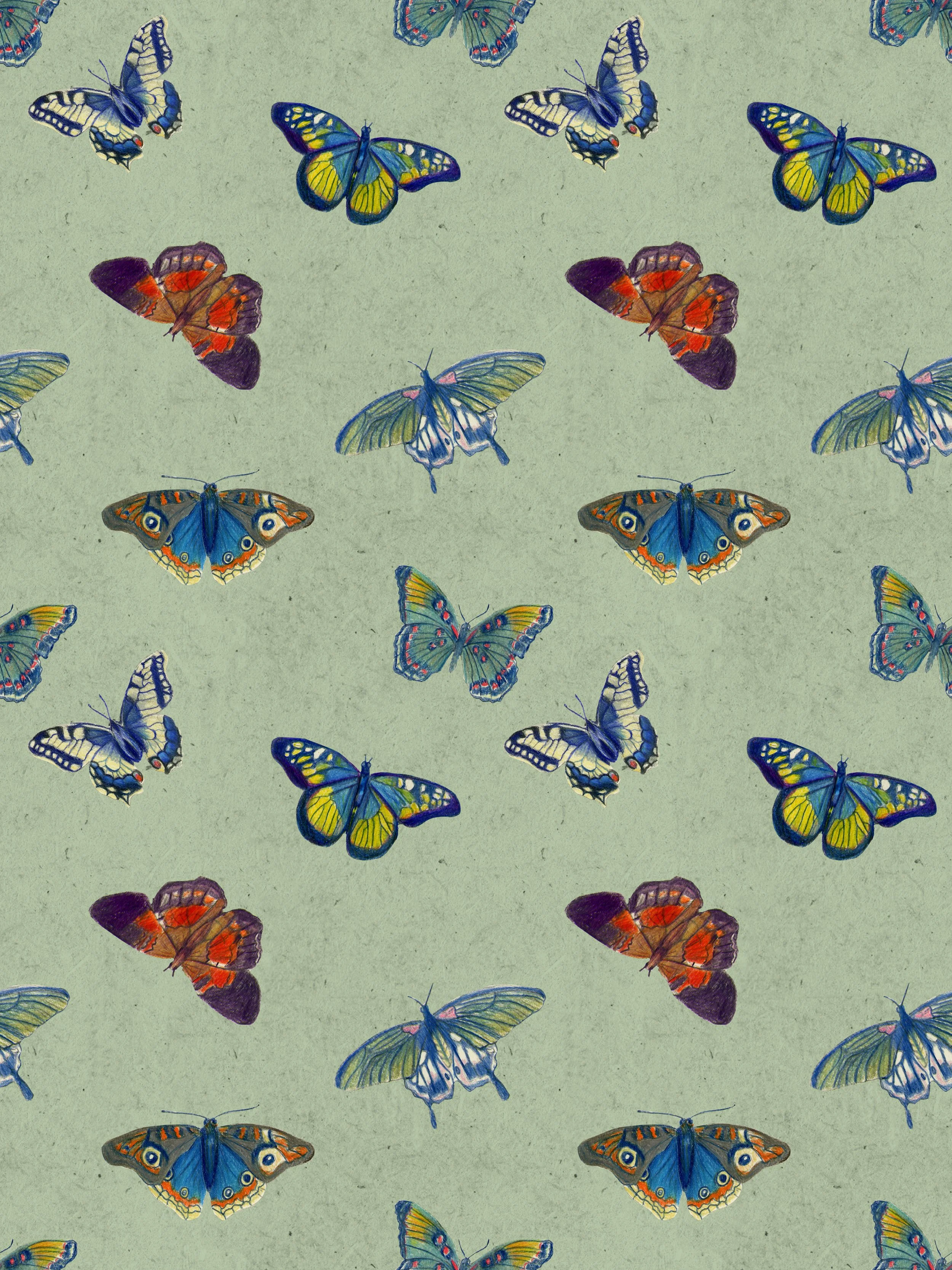 SAV202520_ILLU436_ReaganSimpson_A3_Metamorphosis_Supporting1TILE copy.jpg