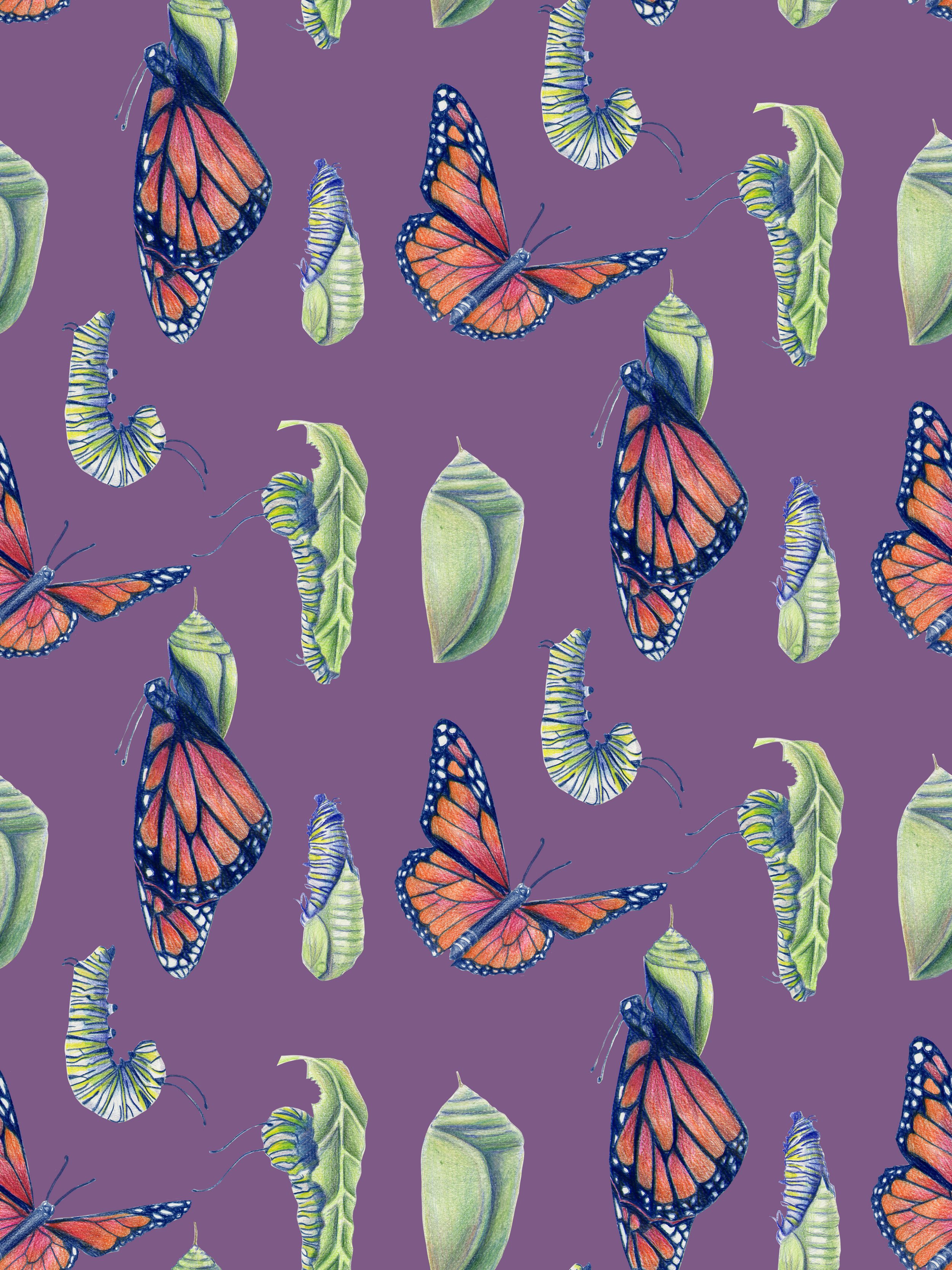 SAV202520_ILLU436_ReaganSimpson_A3_Metamorphosis_Supporting2RPT.jpg
