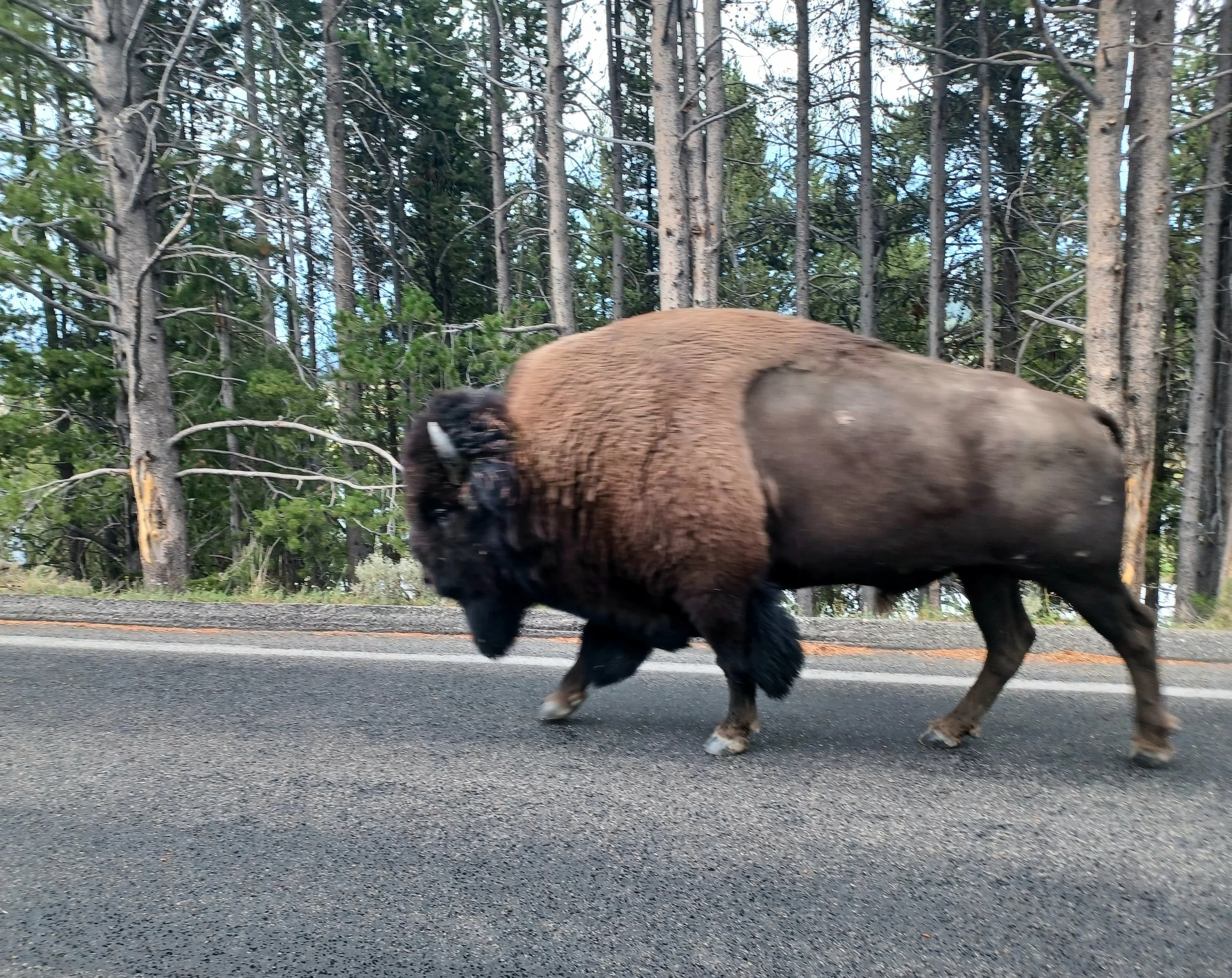 Western National Park Trip: Part 2 (July 2025)