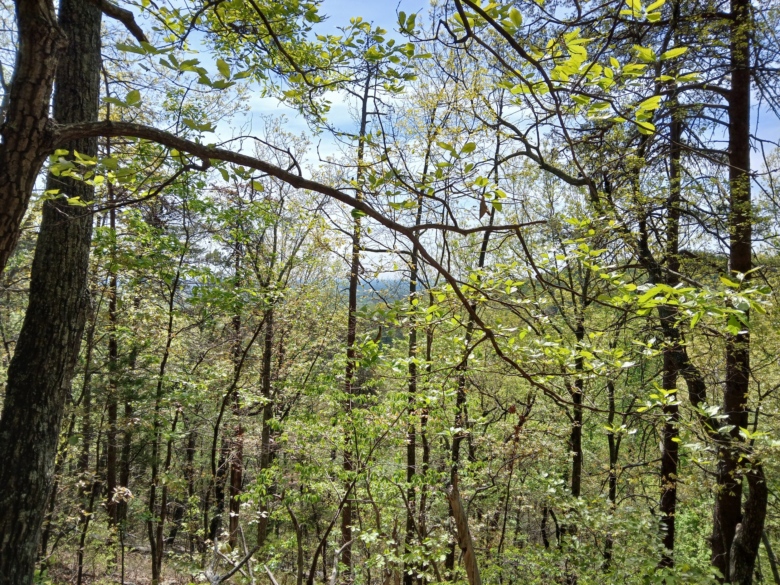 20260408_115210.jpg