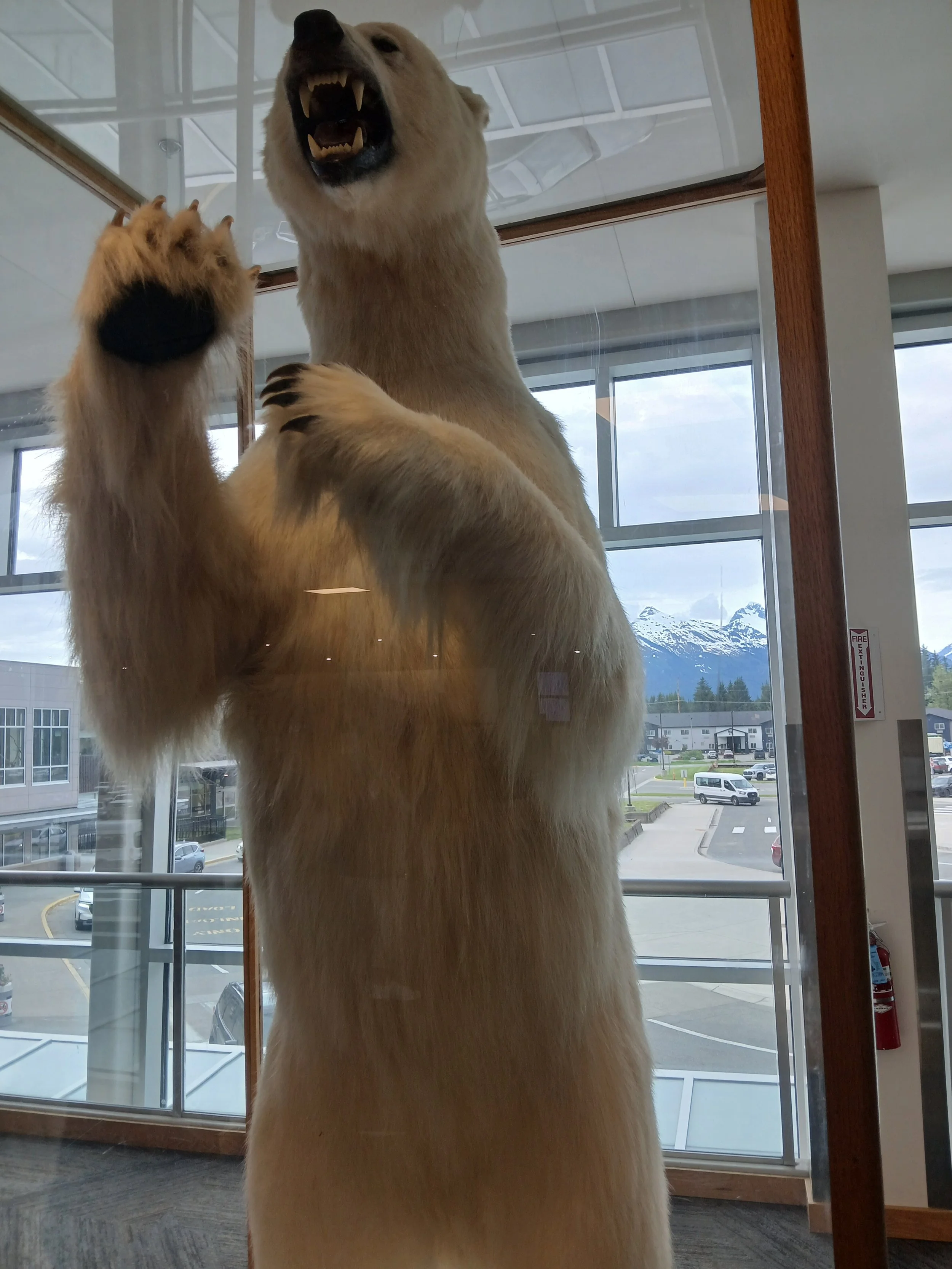 20260611_183432.jpg
