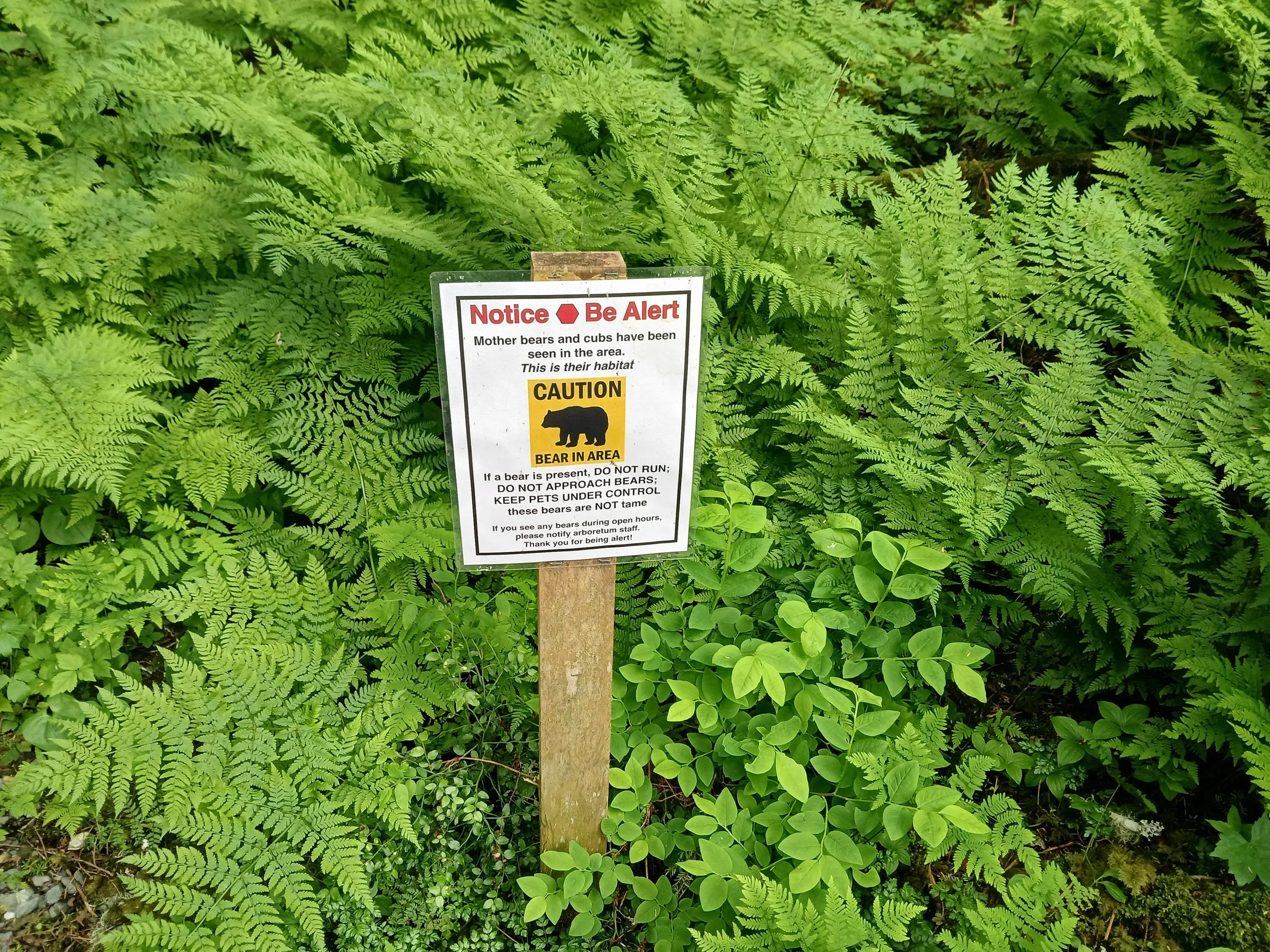 20260617_113557.jpg