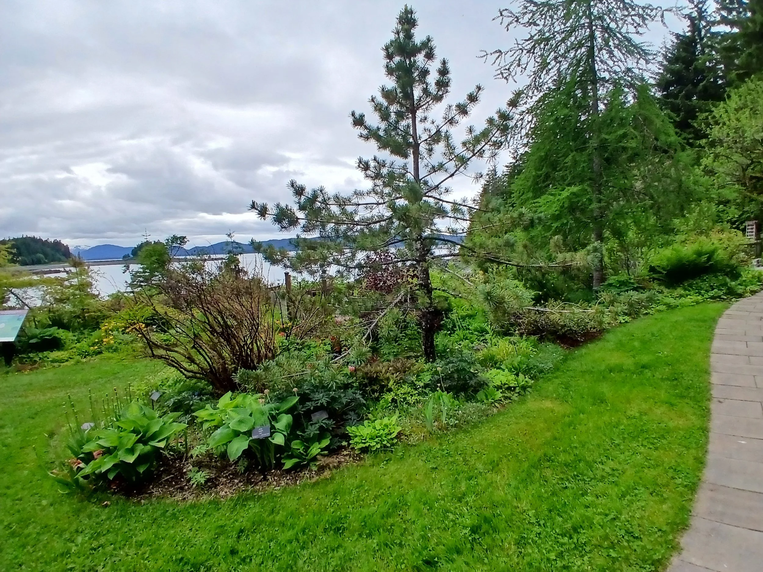 20260617_114005.jpg