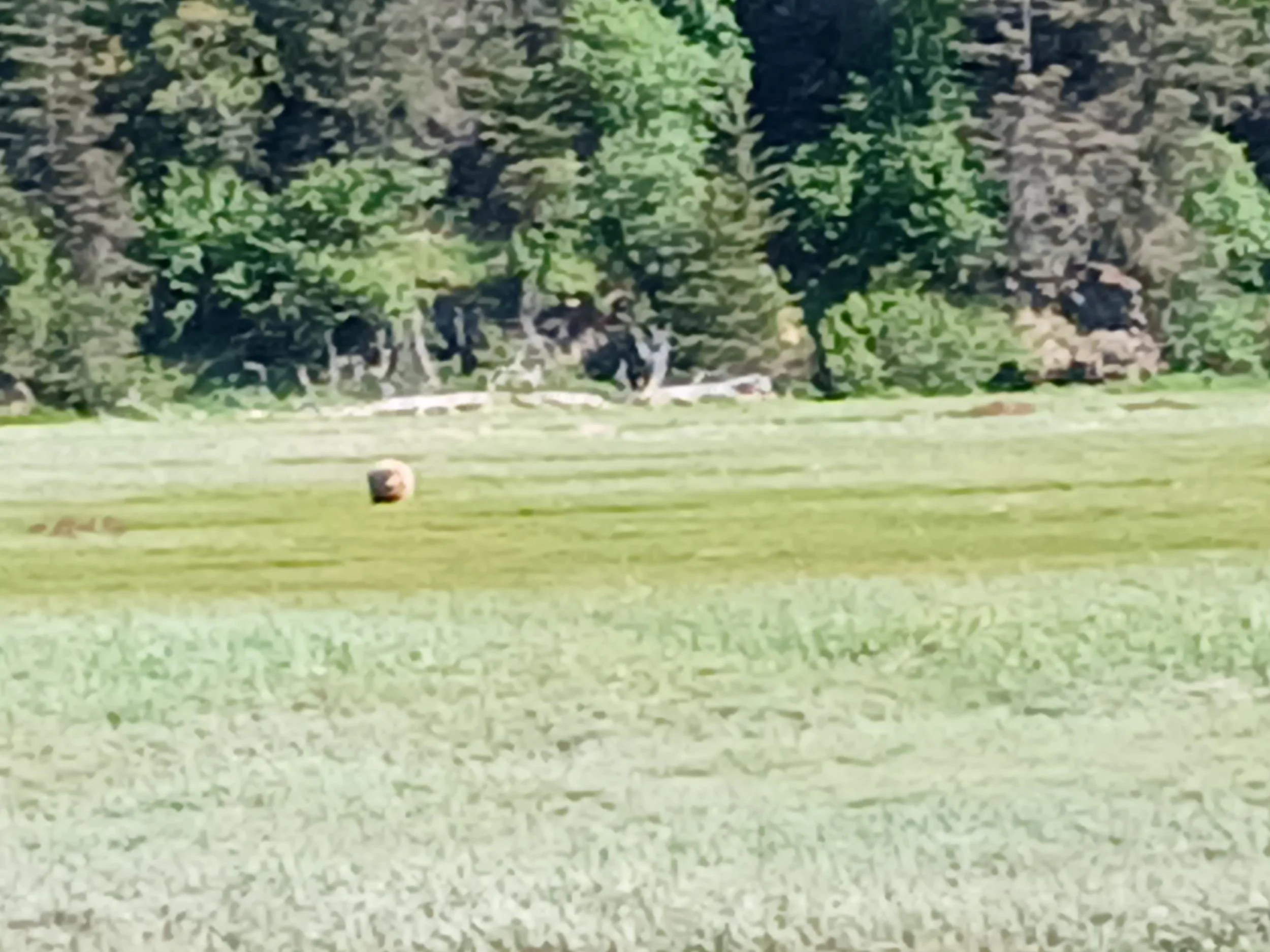 20260618_110606.jpg