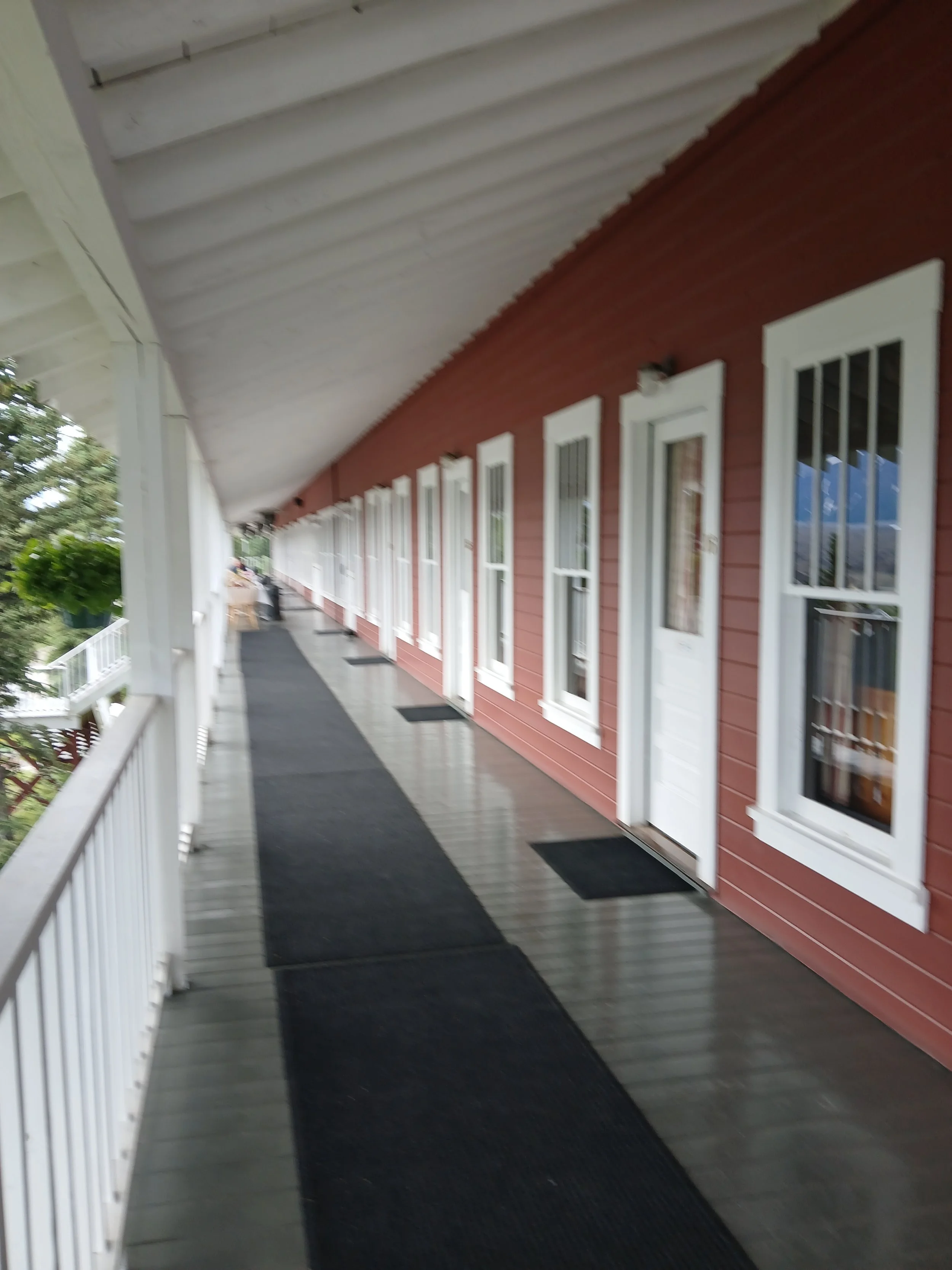 20260622_195552.jpg