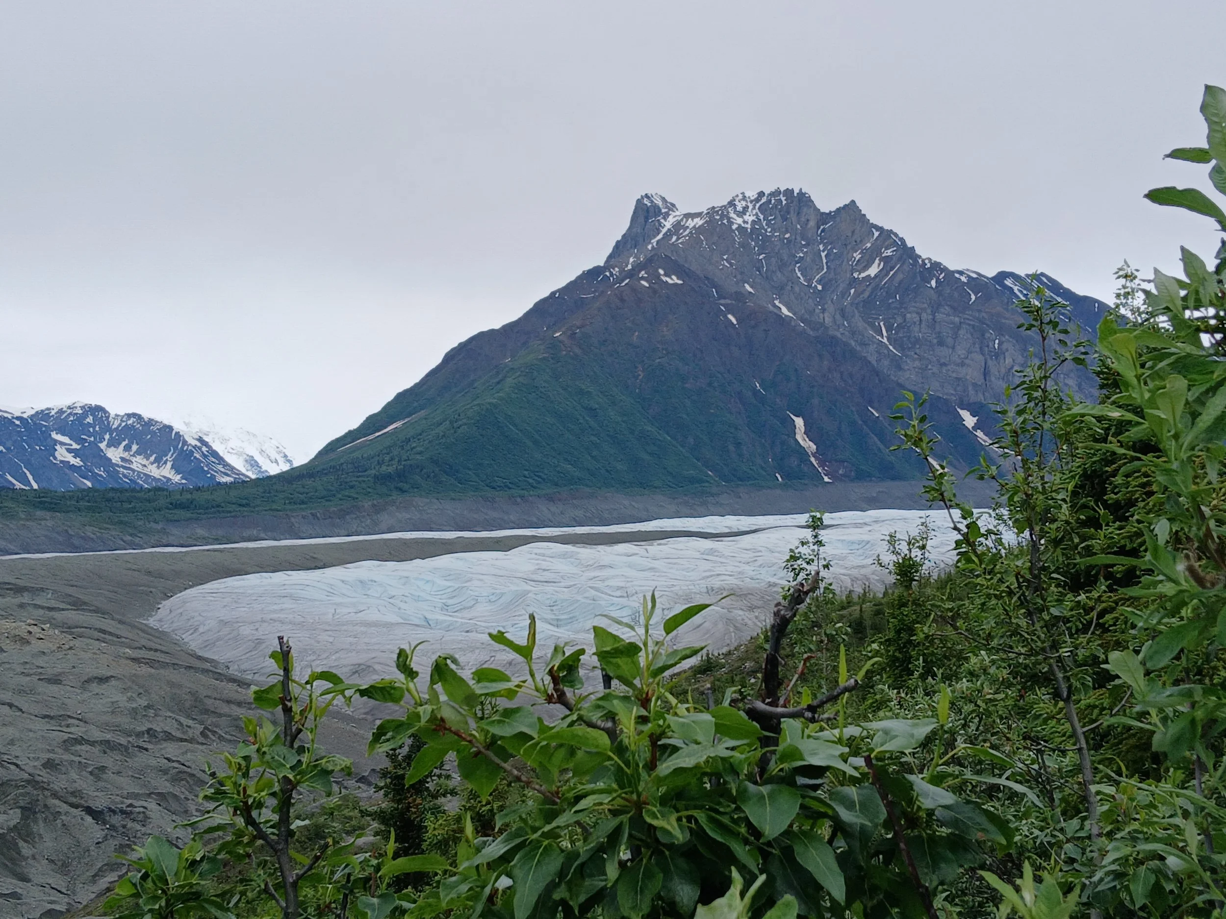 20260623_105046.jpg