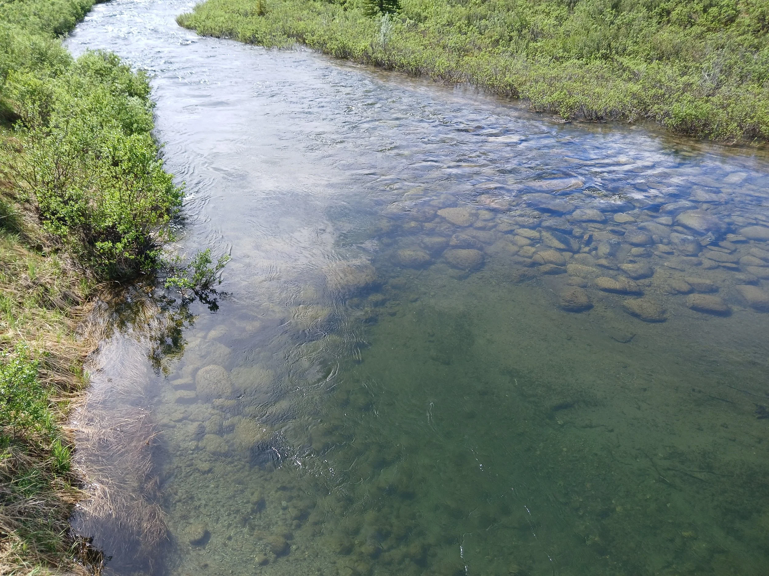 20260624_123508.jpg