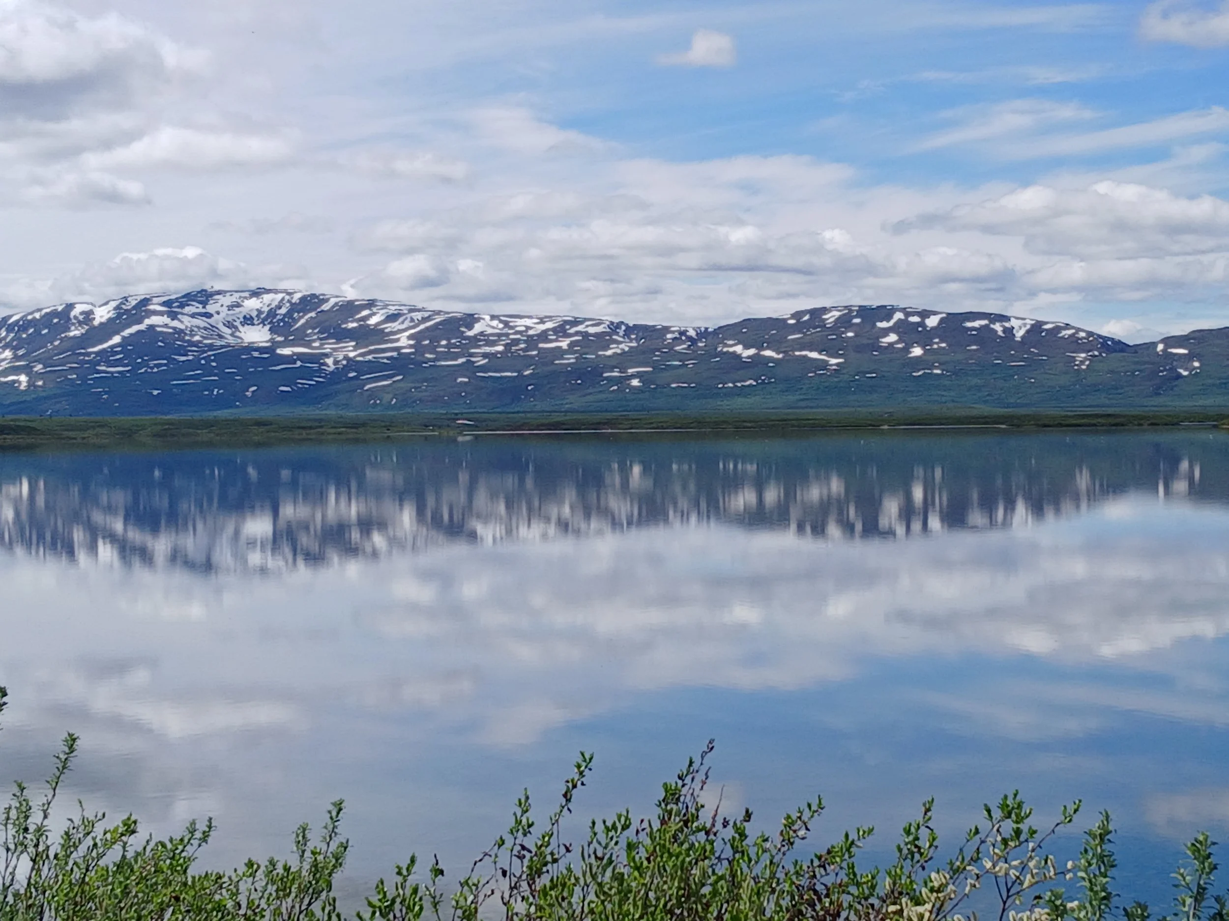 20260624_124247.jpg