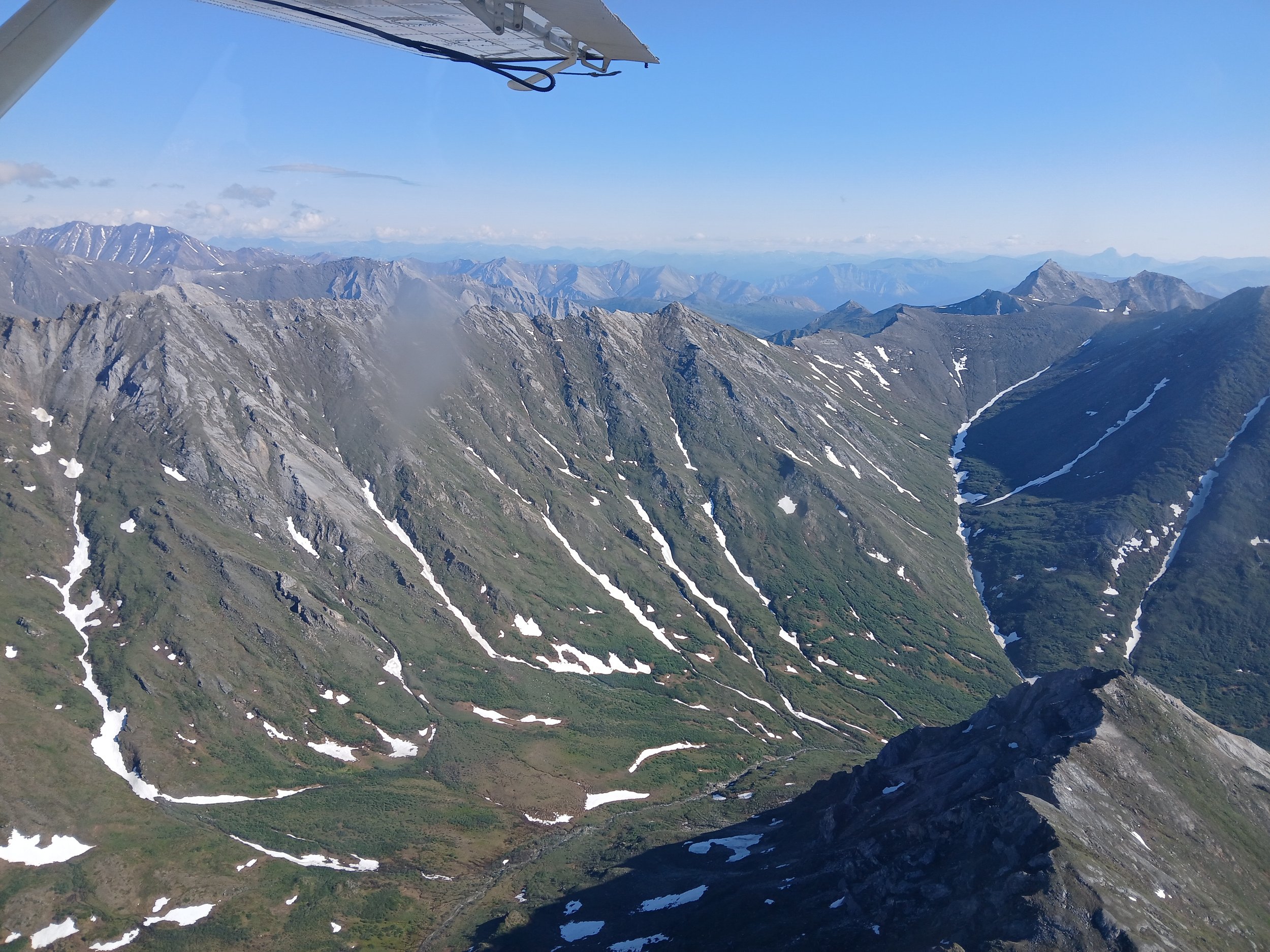 20260626_094741.jpg