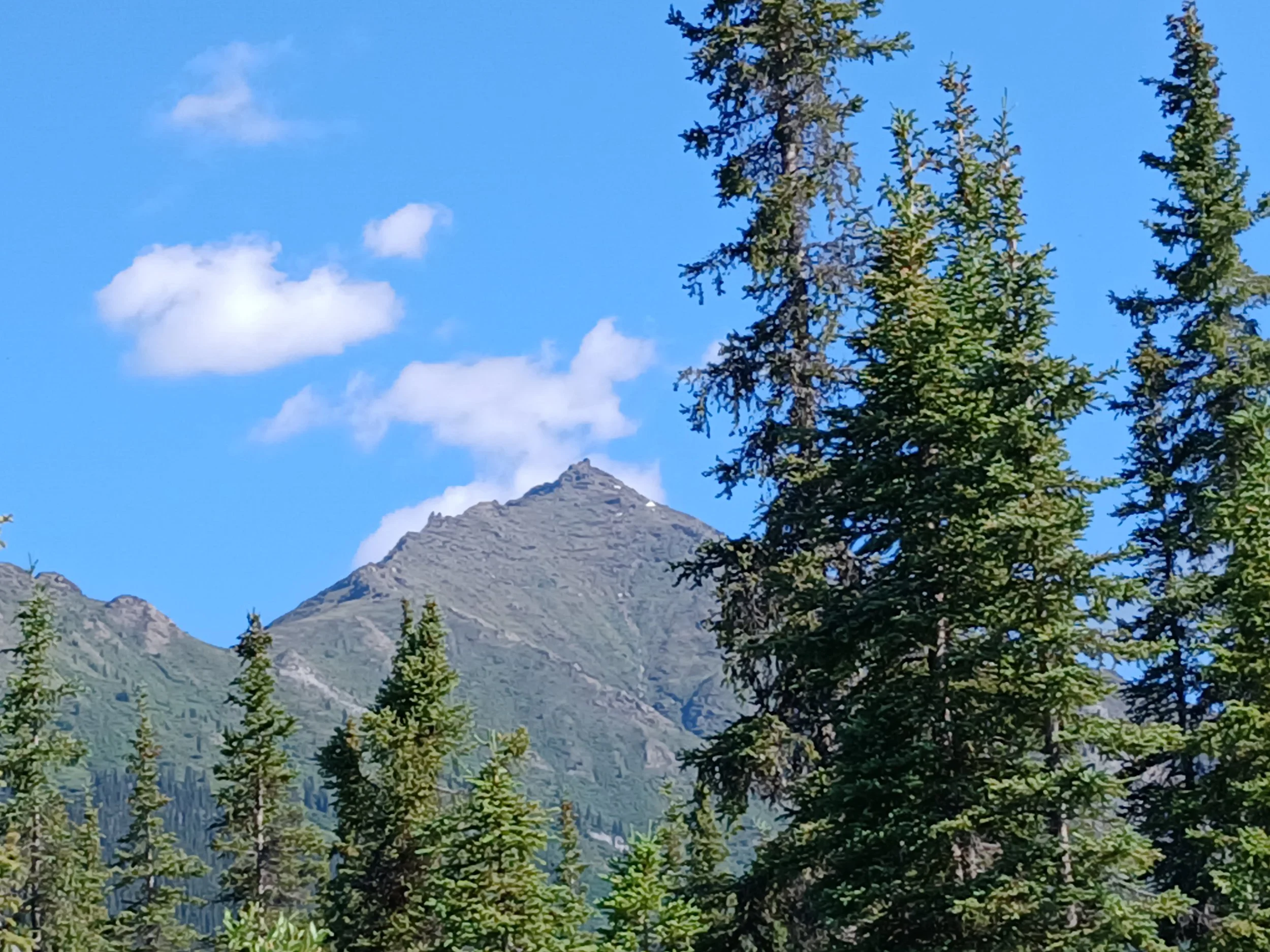 20260626_105103.jpg