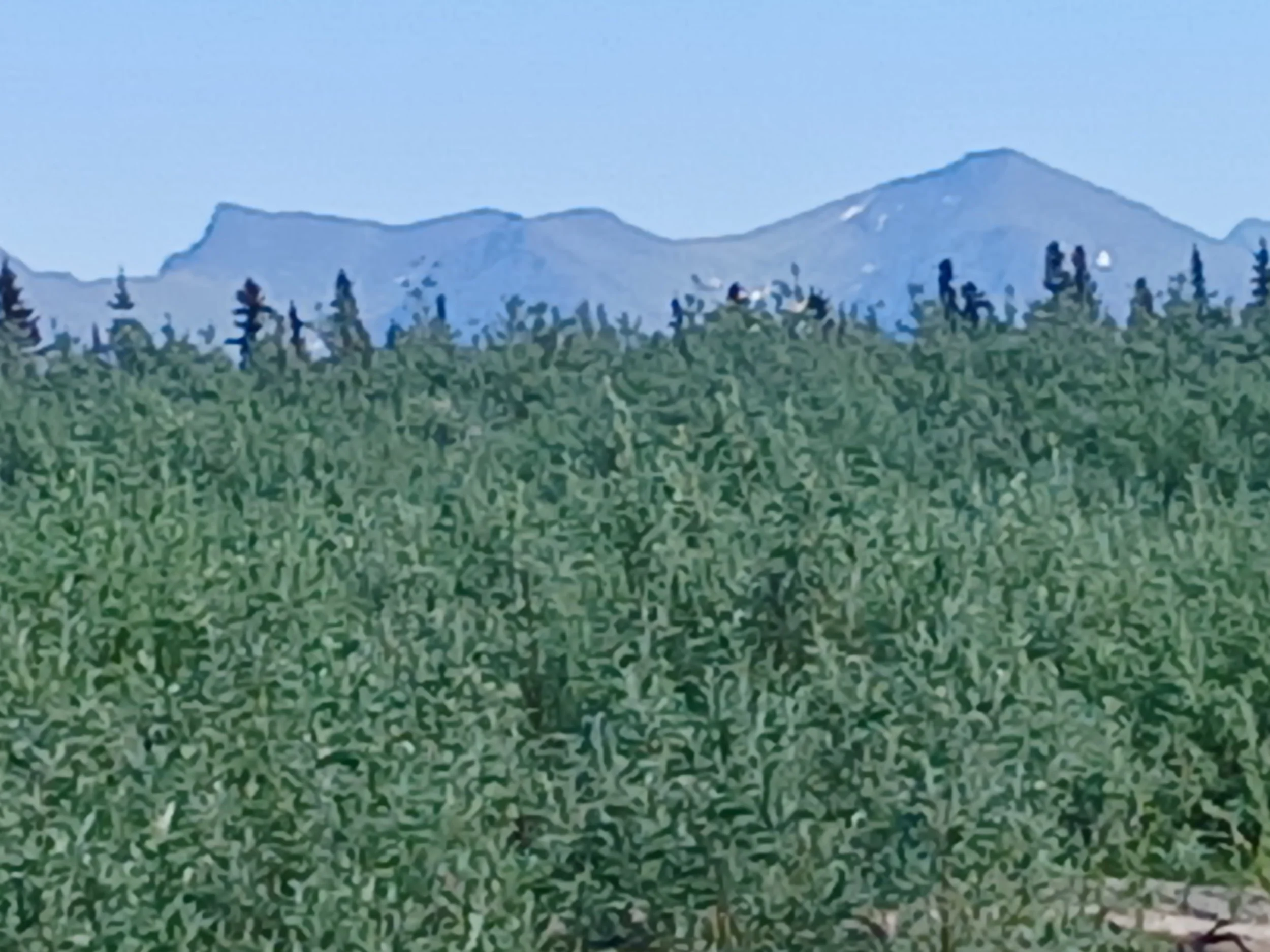 20260626_140323.jpg
