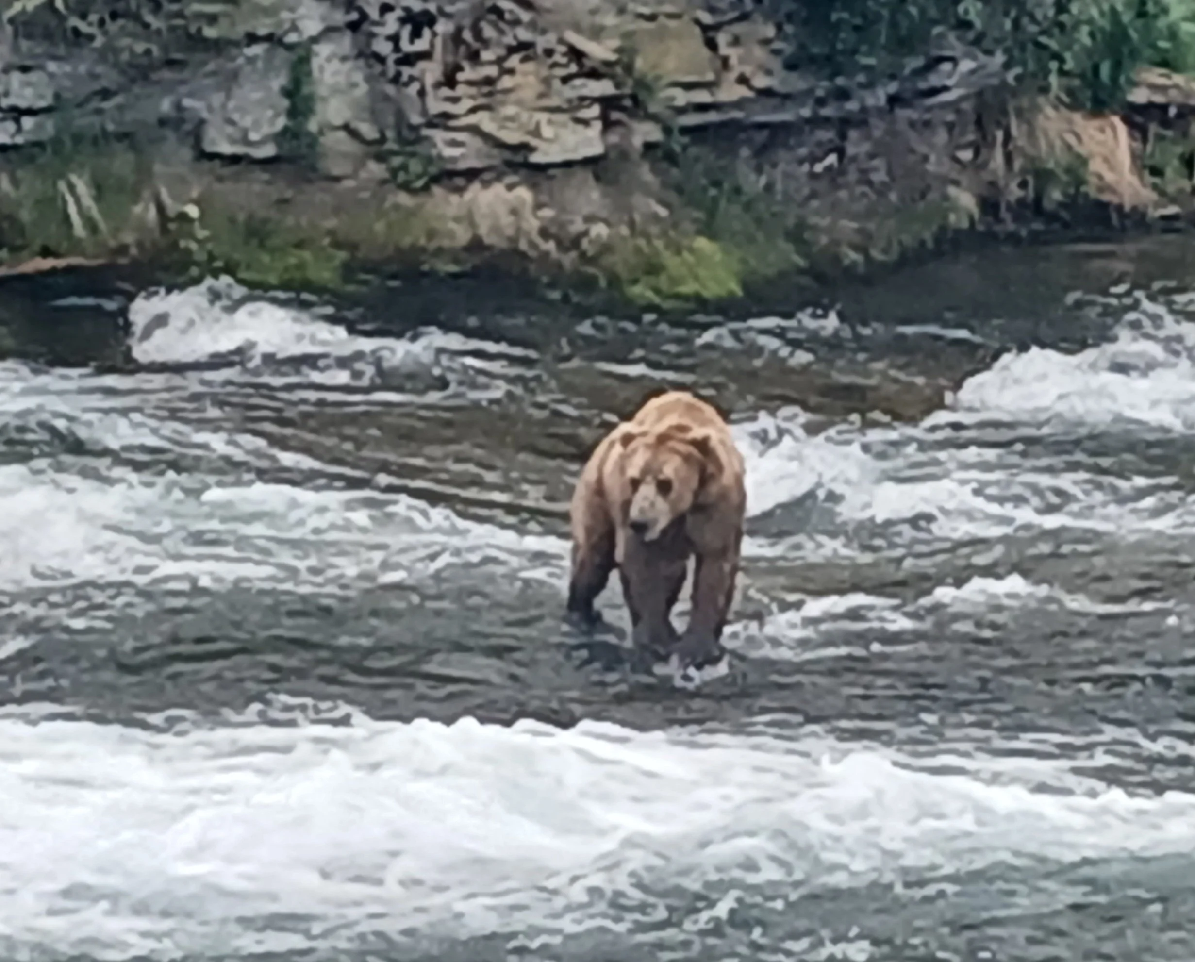 20260701_130643.jpg