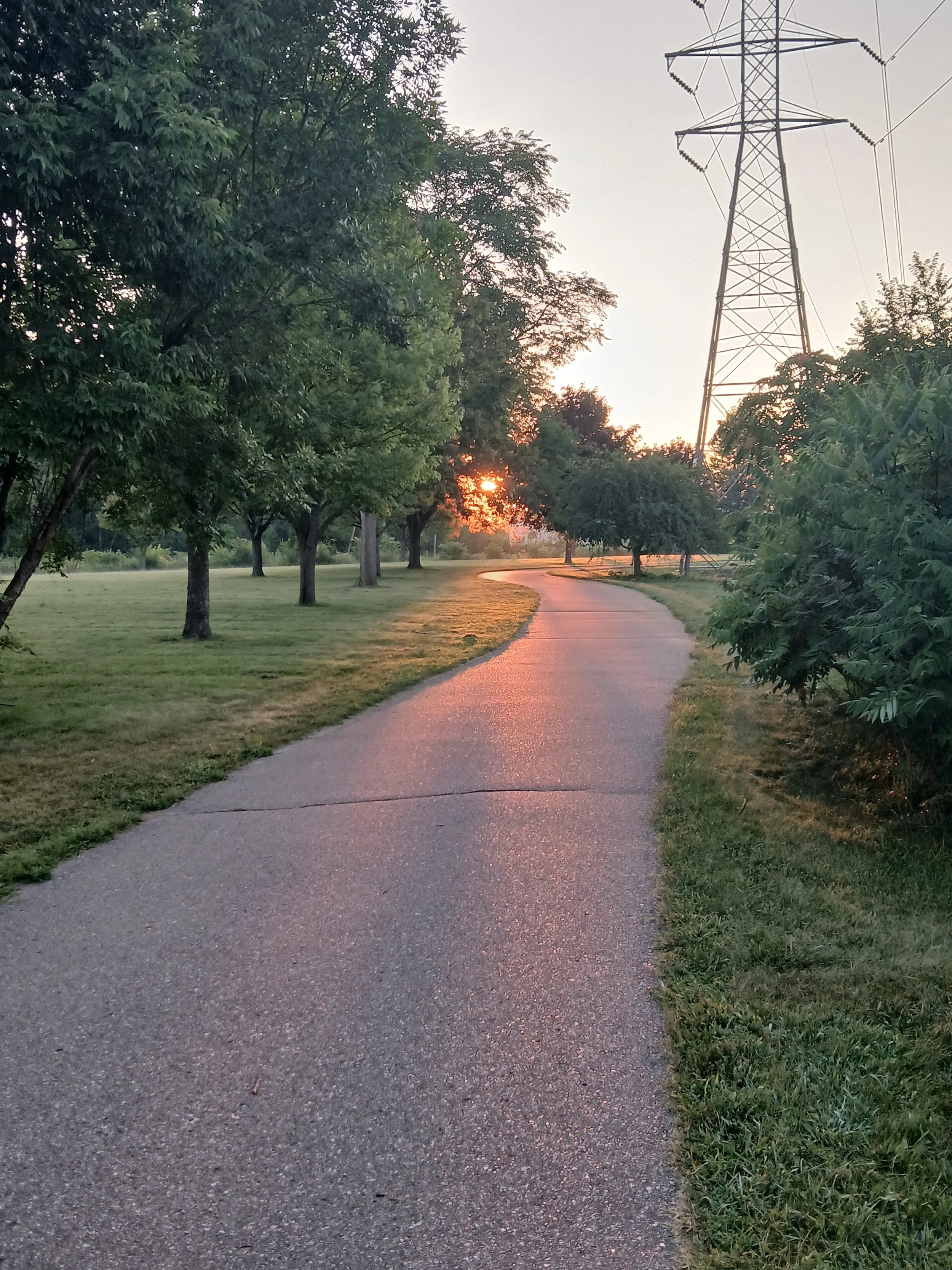 20260805_064619.jpg