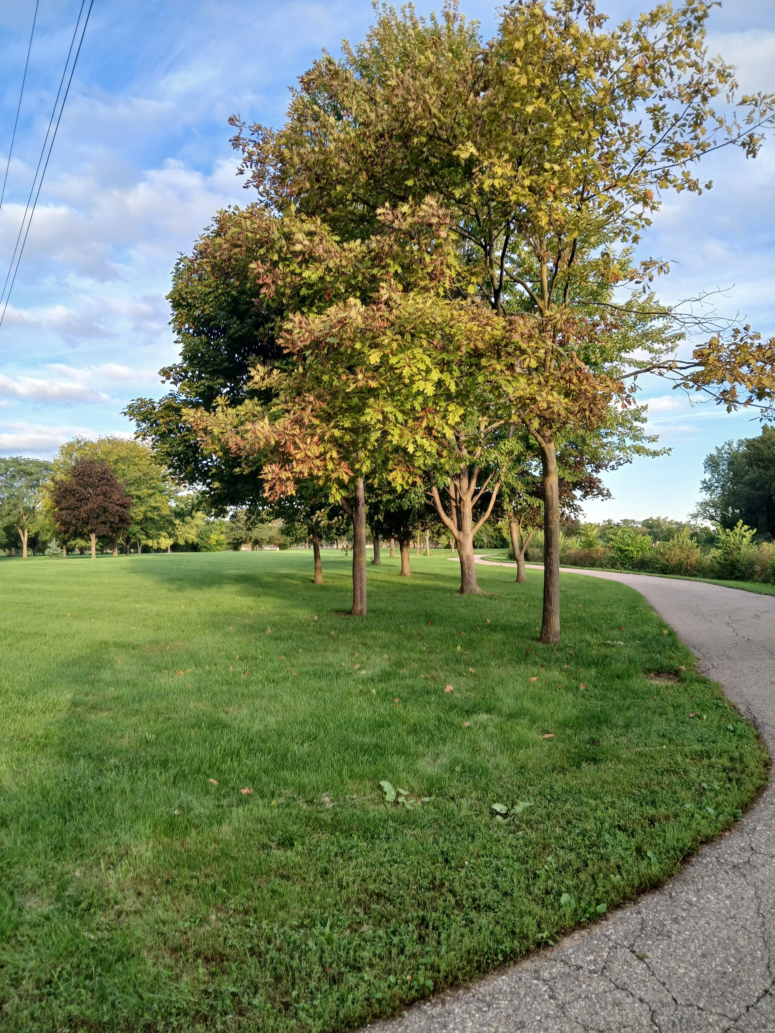 20260922_080105.jpg