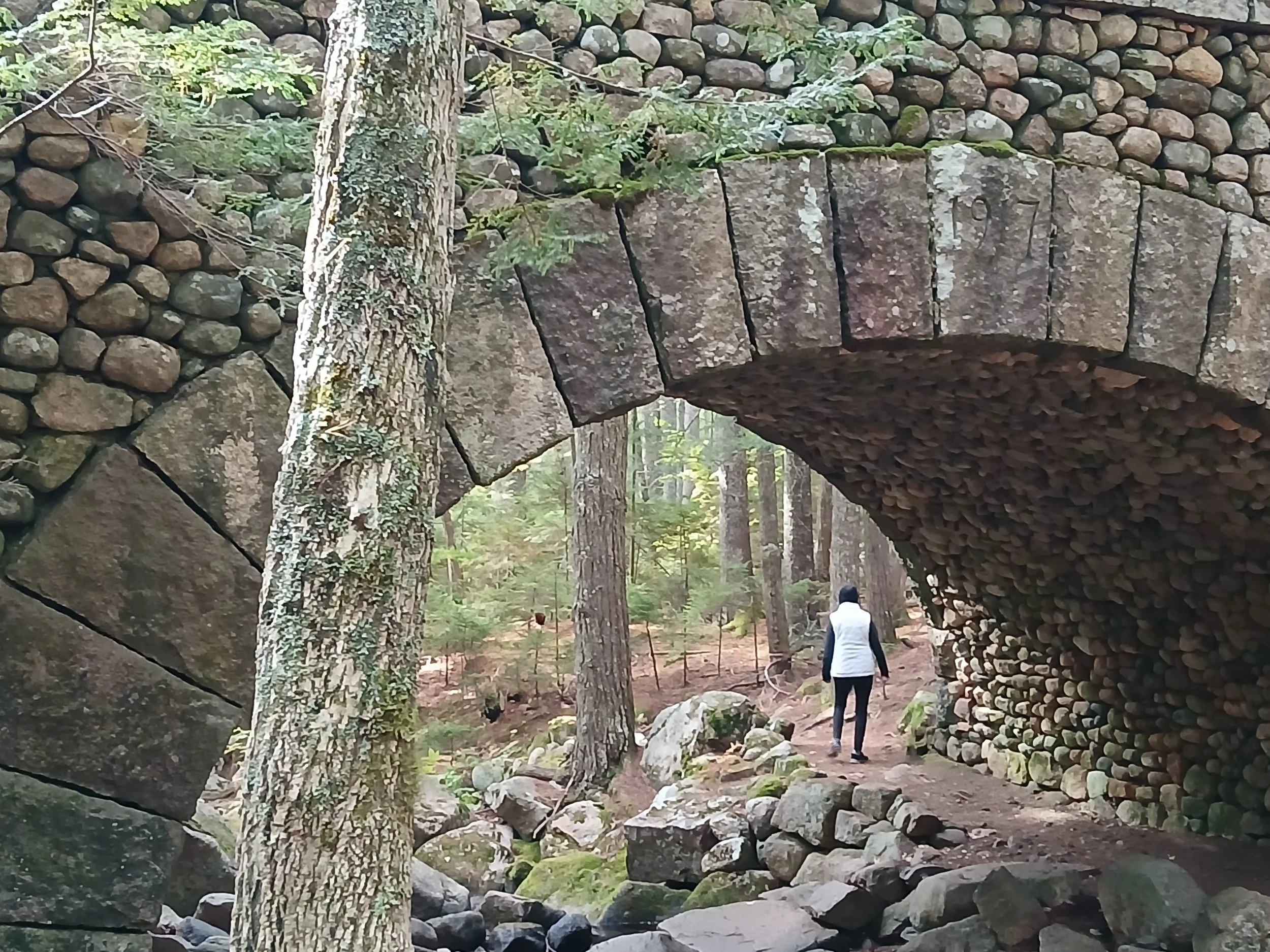 20261009_104855.jpg