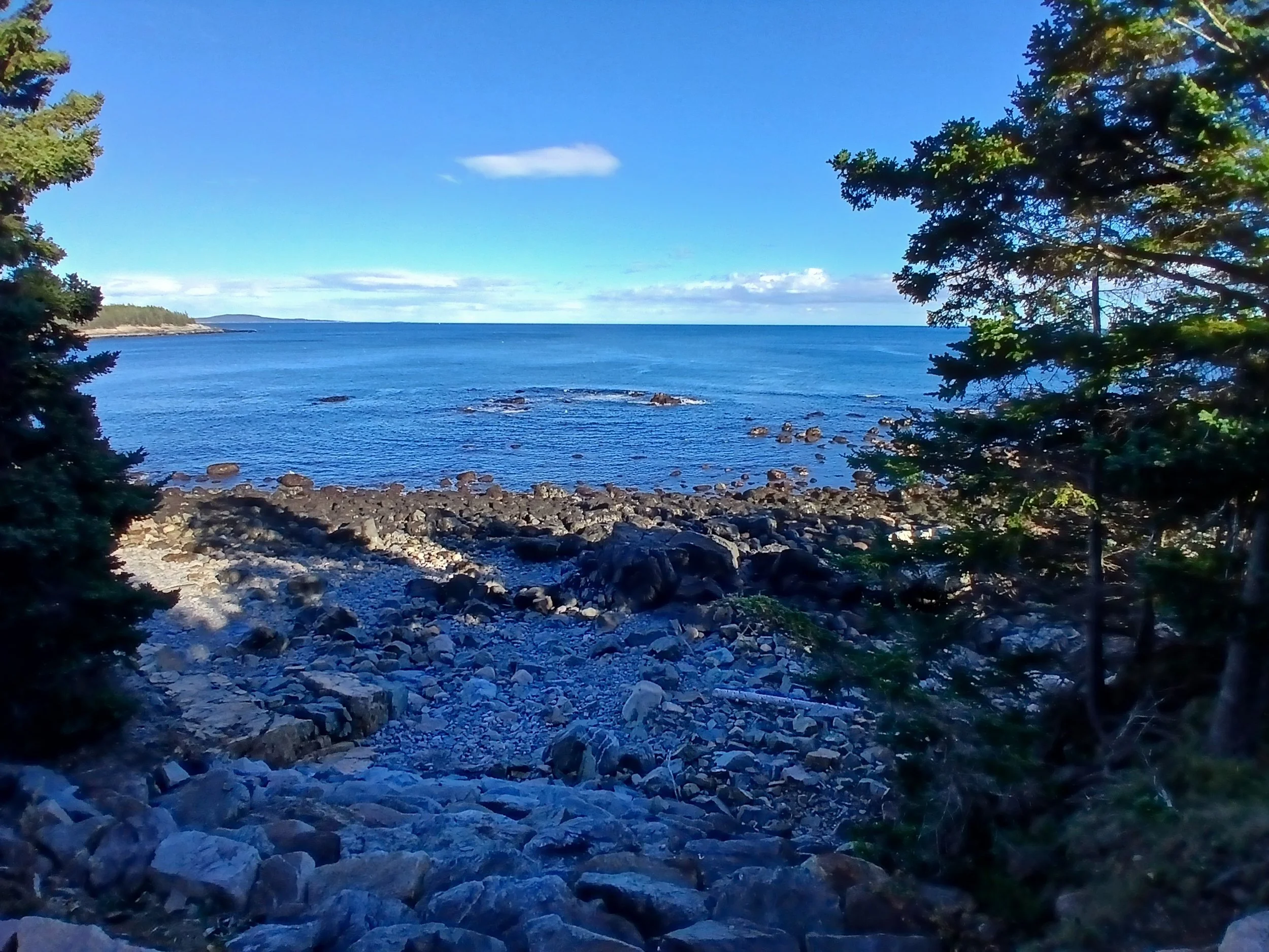 20261009_153919.jpg