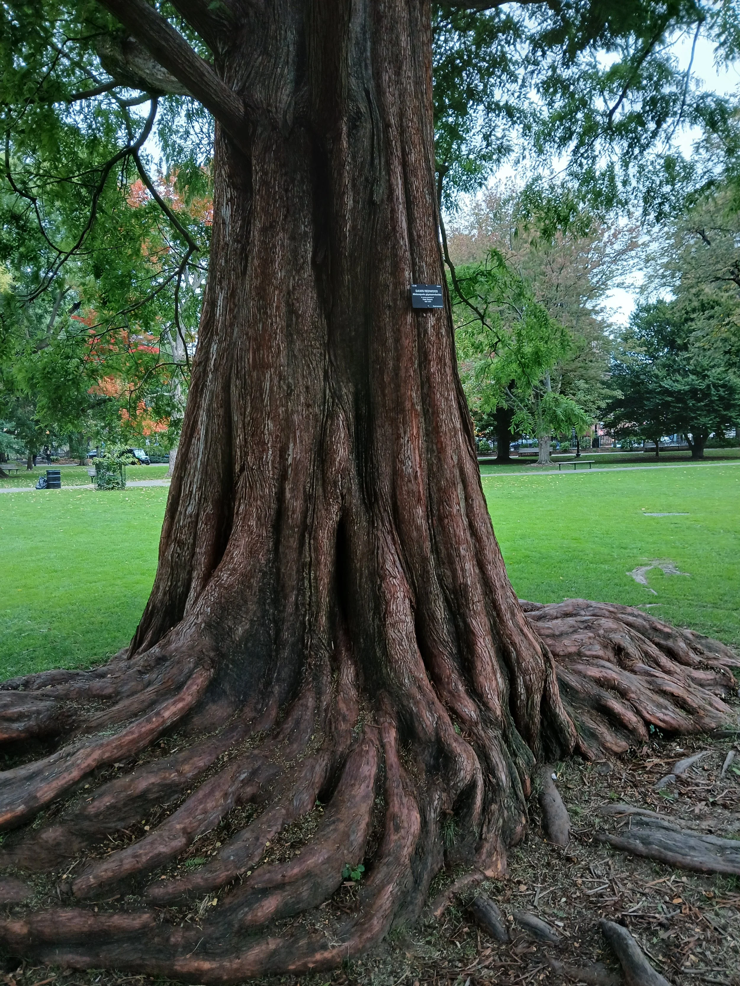 20261011_084440.jpg