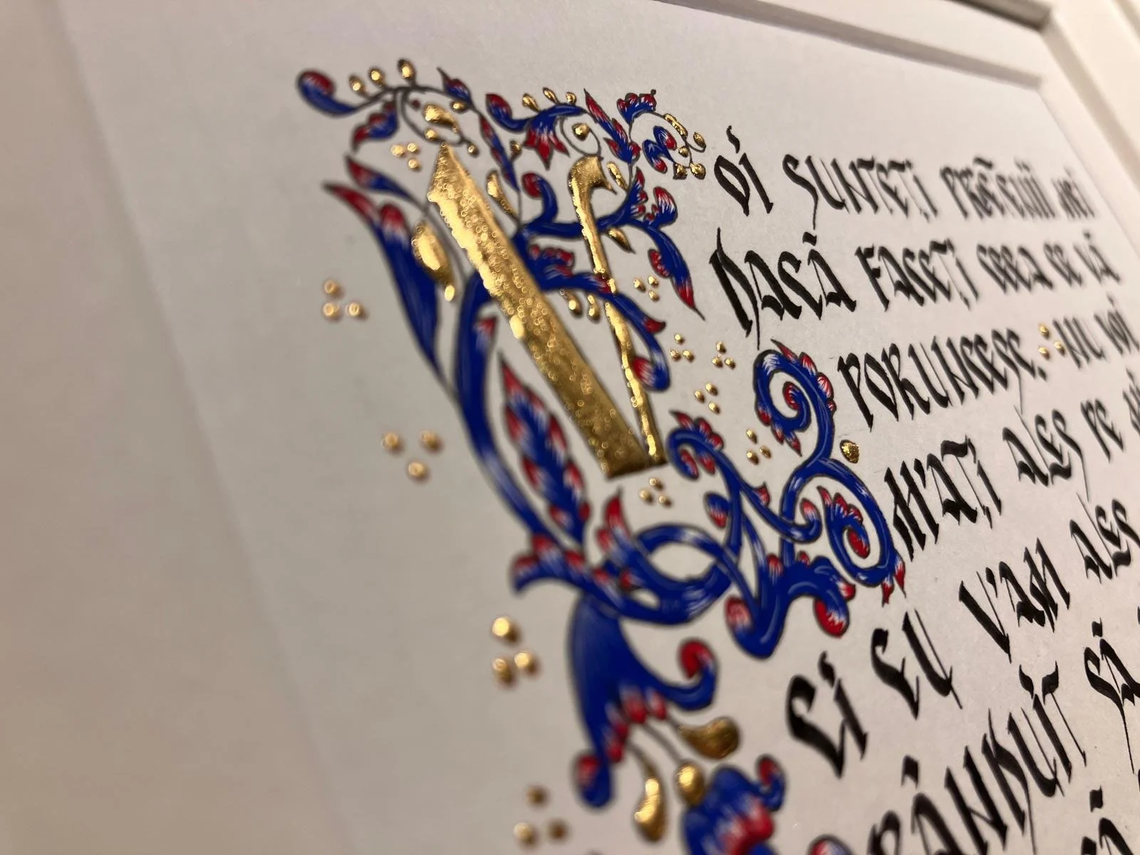 WhatsApp Image 2026-02-16 at 19.35.47 (56).jpeg