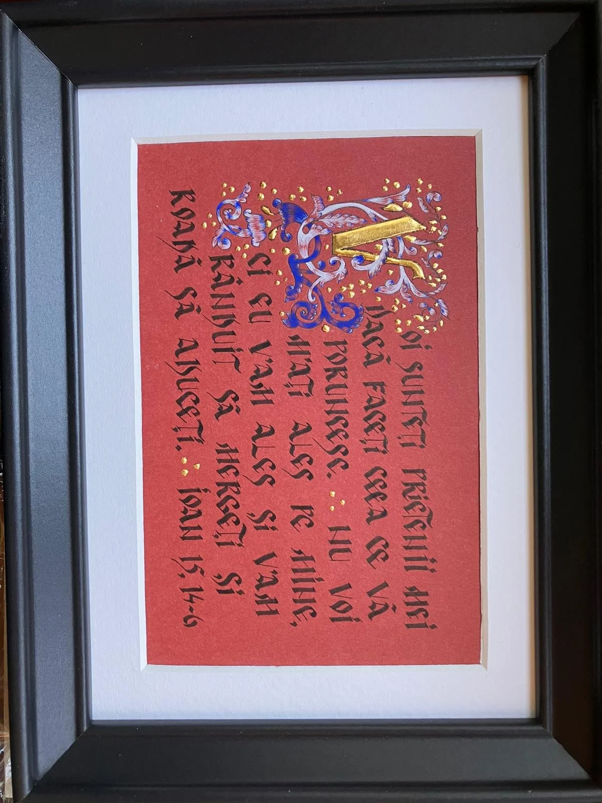 WhatsApp Image 2026-02-16 at 19.35.47 (27).jpeg