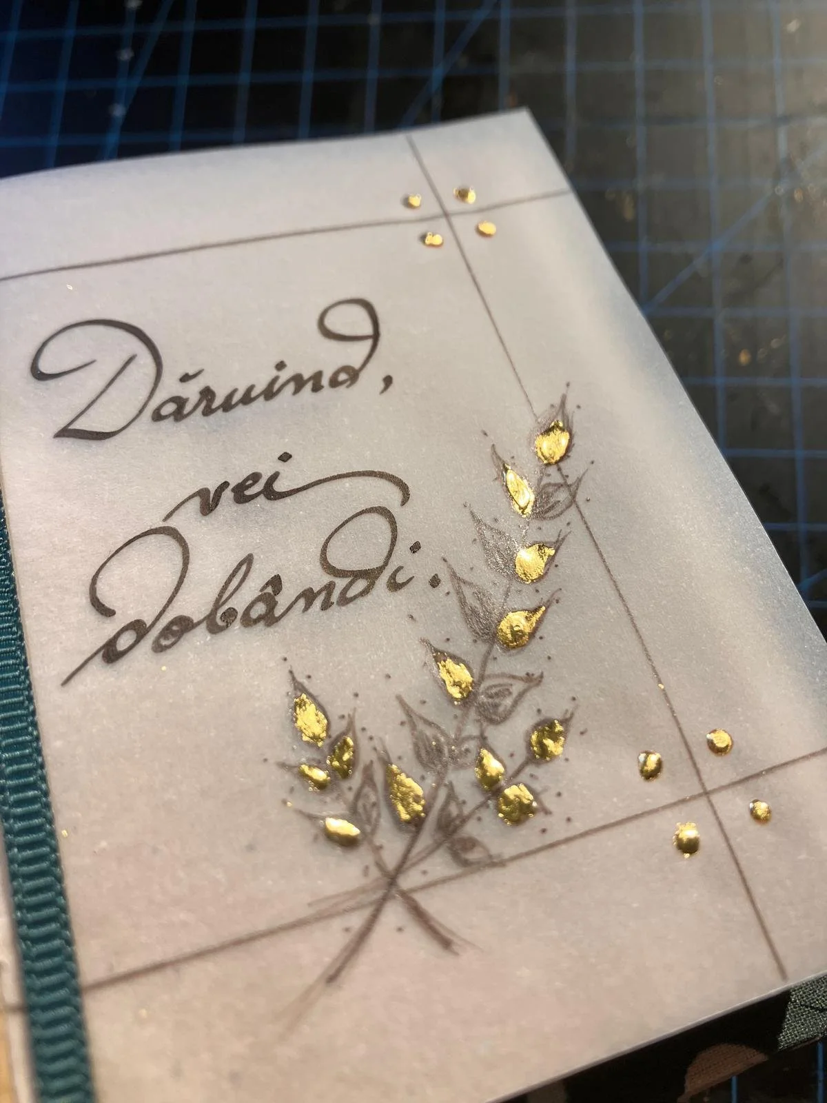 WhatsApp Image 2026-02-16 at 20.12.45 (36).jpeg