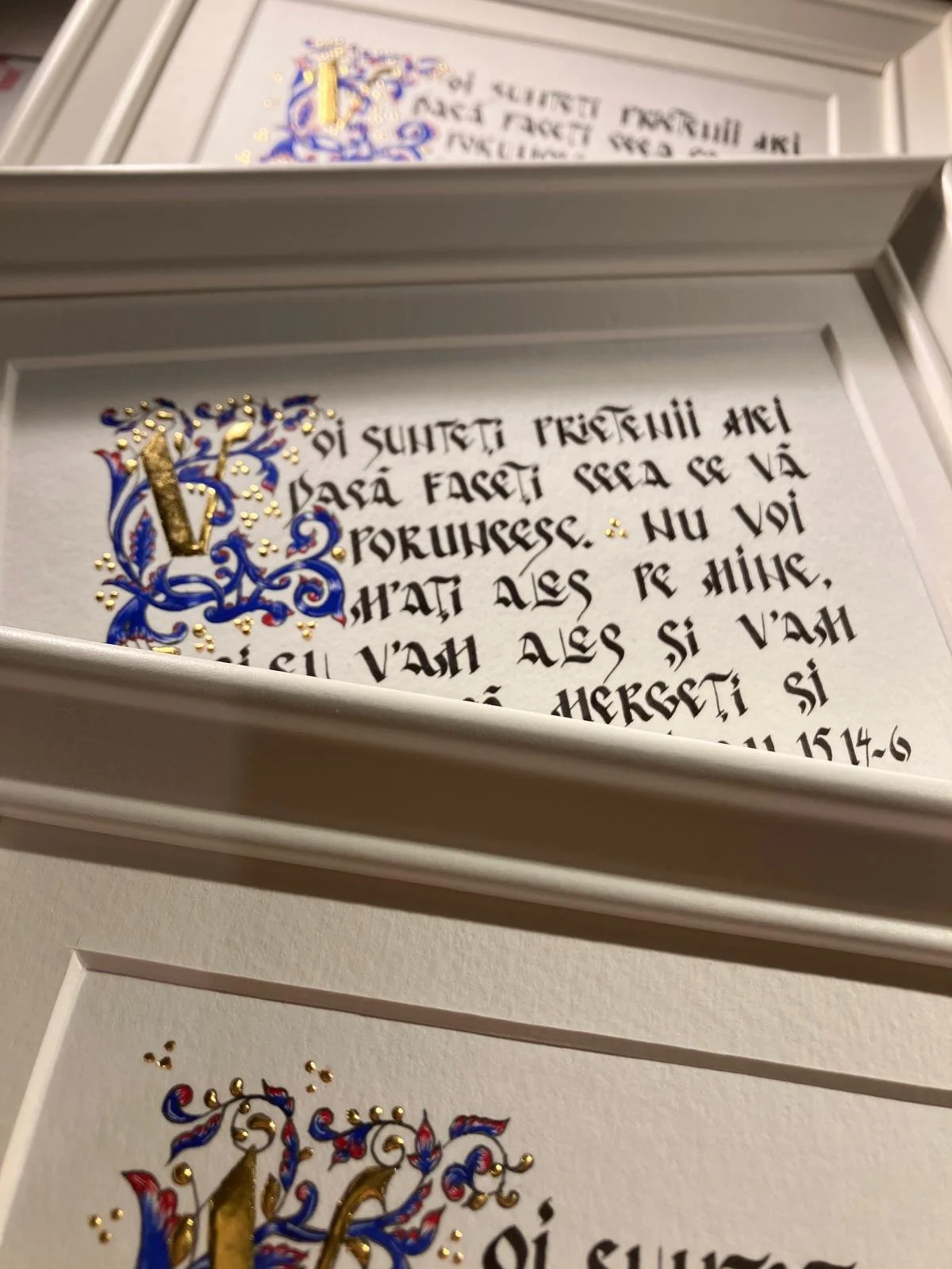 WhatsApp Image 2026-02-16 at 19.35.48 (4).jpeg