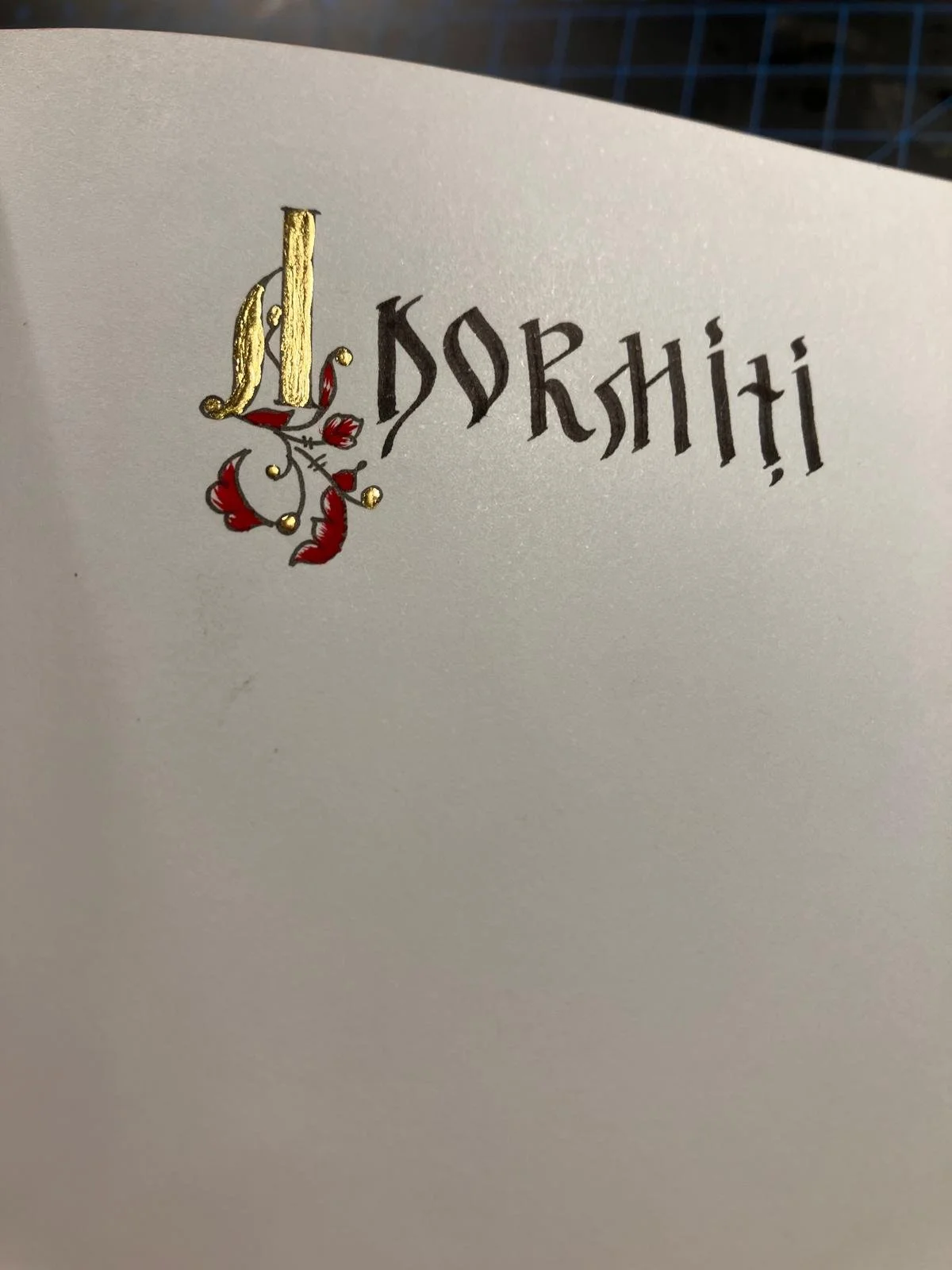 WhatsApp Image 2026-02-16 at 19.27.09 (9).jpeg