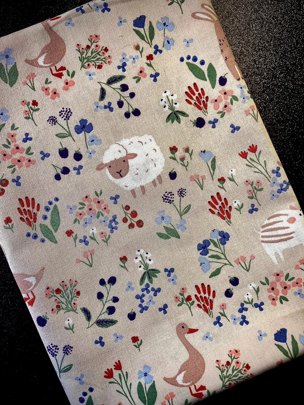 WhatsApp Image 2026-02-18 at 14.08.19 (12).jpeg