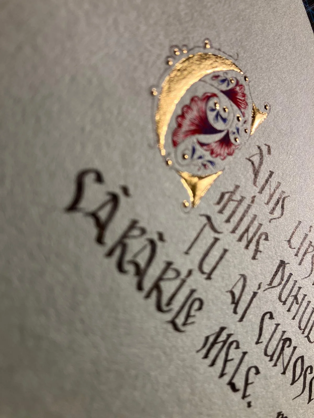 WhatsApp Image 2026-02-16 at 19.35.46 (1).jpeg