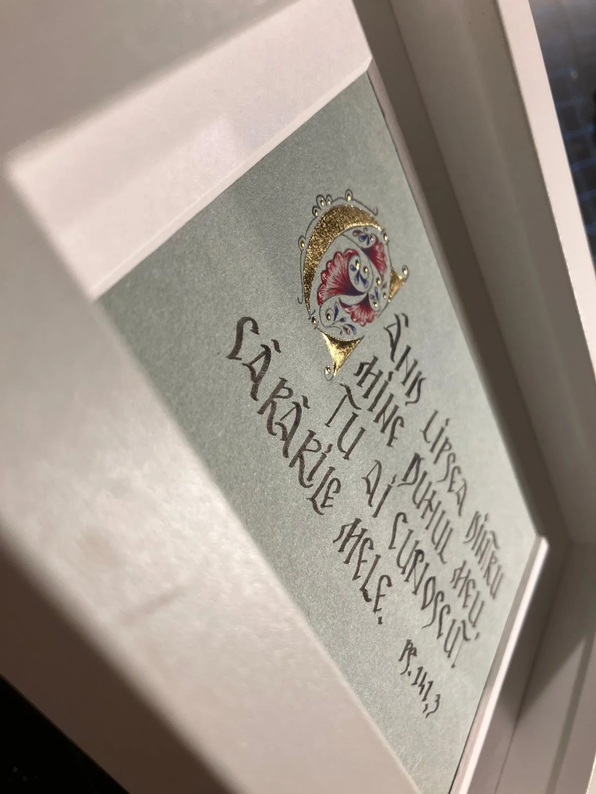 WhatsApp Image 2026-02-16 at 19.35.47 (1).jpeg