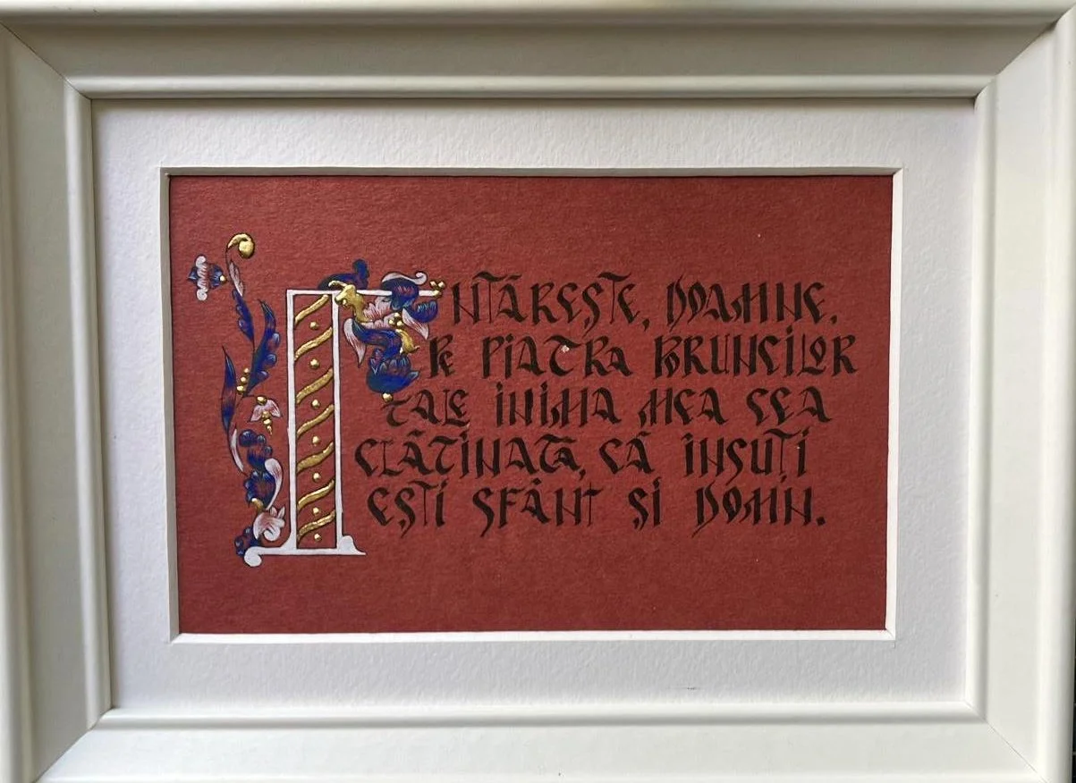 WhatsApp Image 2026-02-16 at 19.35.47 (17).jpeg